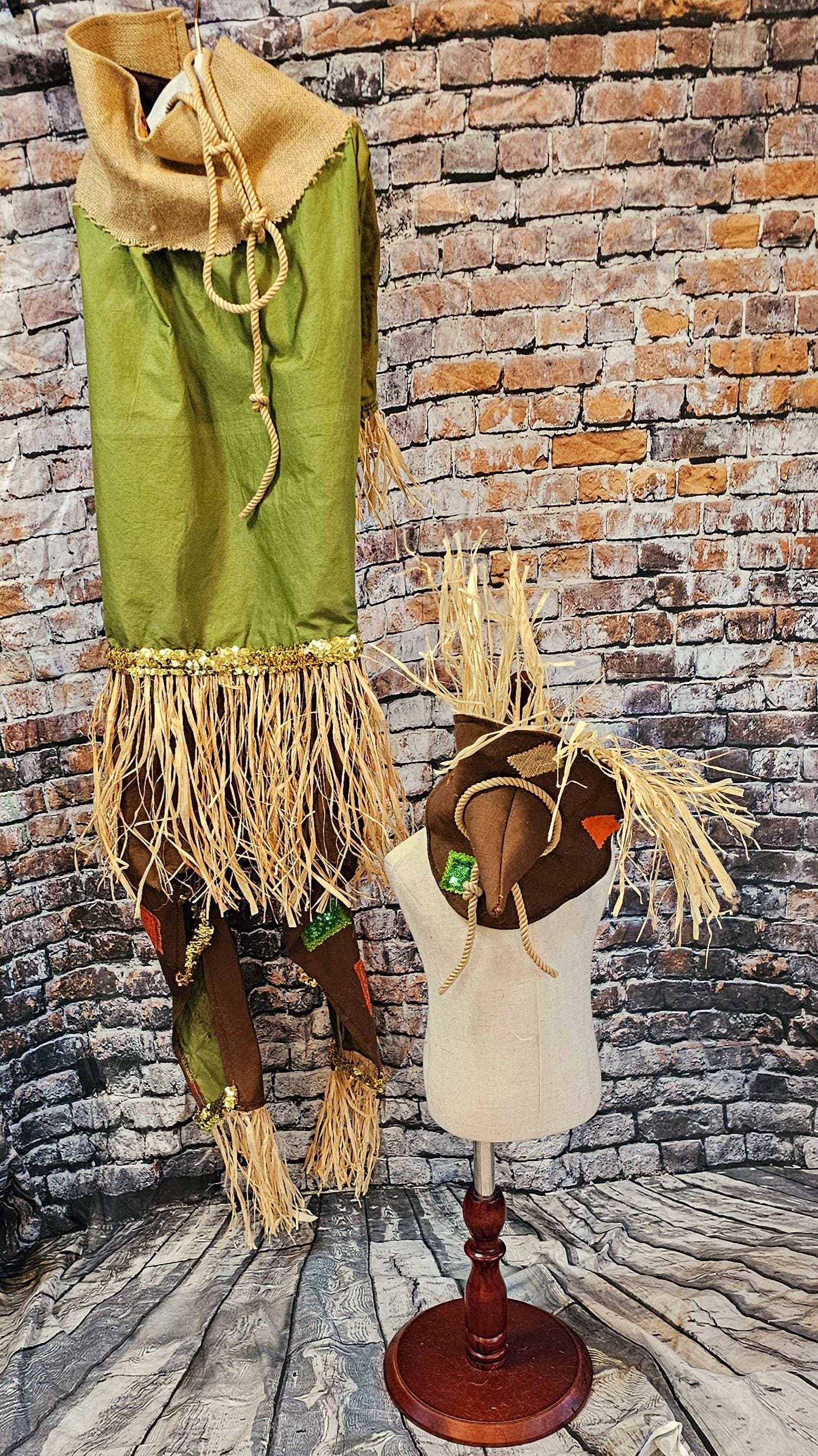 - Scarecrow pet costume, Scarecrow dog costume, Scarecrow cat costume
