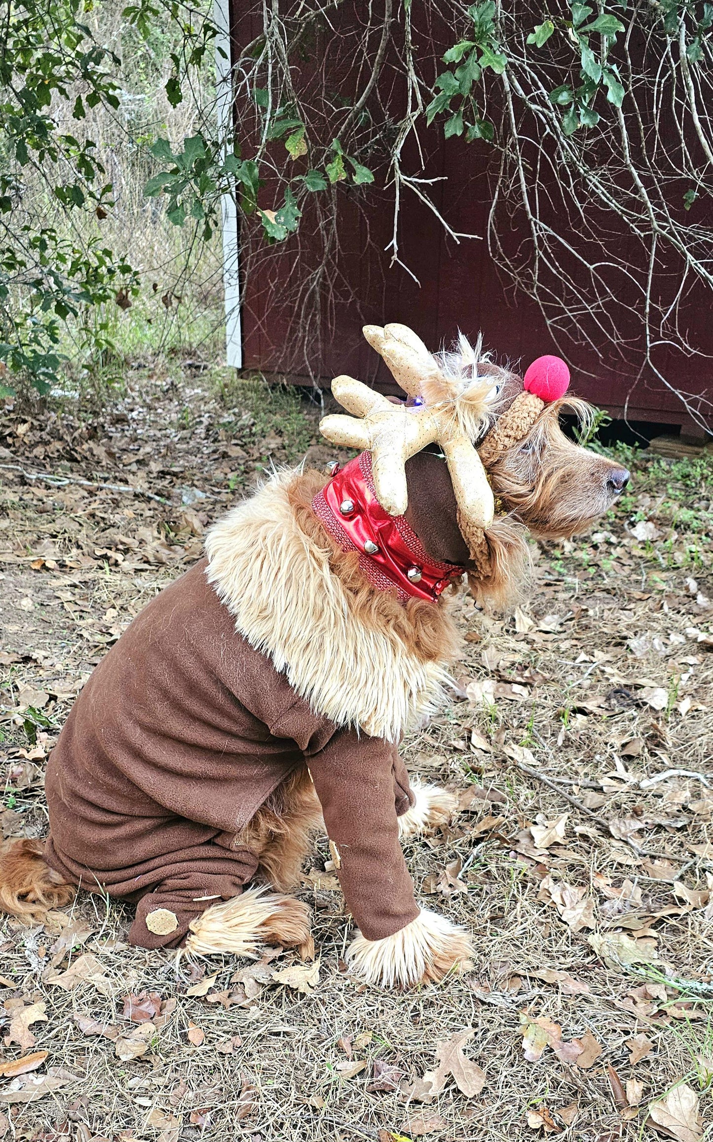 Reindeer pet costume, Reindeer dog costume, Rudolph pet costume, Rudolph dog costume, Deer pet costume, Reindeer cat costume, deer dog