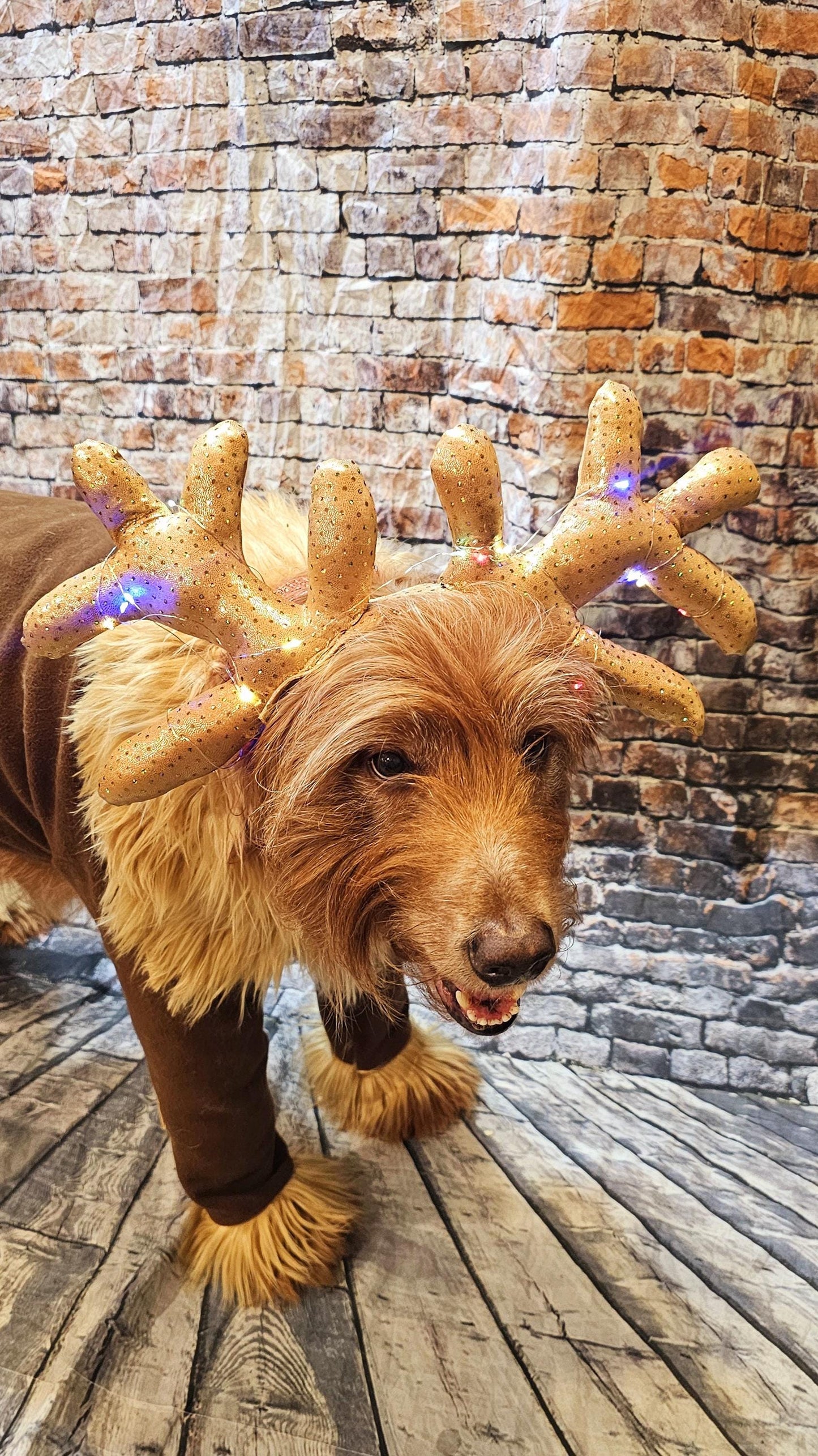 Light up pet antlers, light up dog antlers, Reindeer pet antlers, light up cat antlers, Reindeer dog light up antlers, antlers for pets