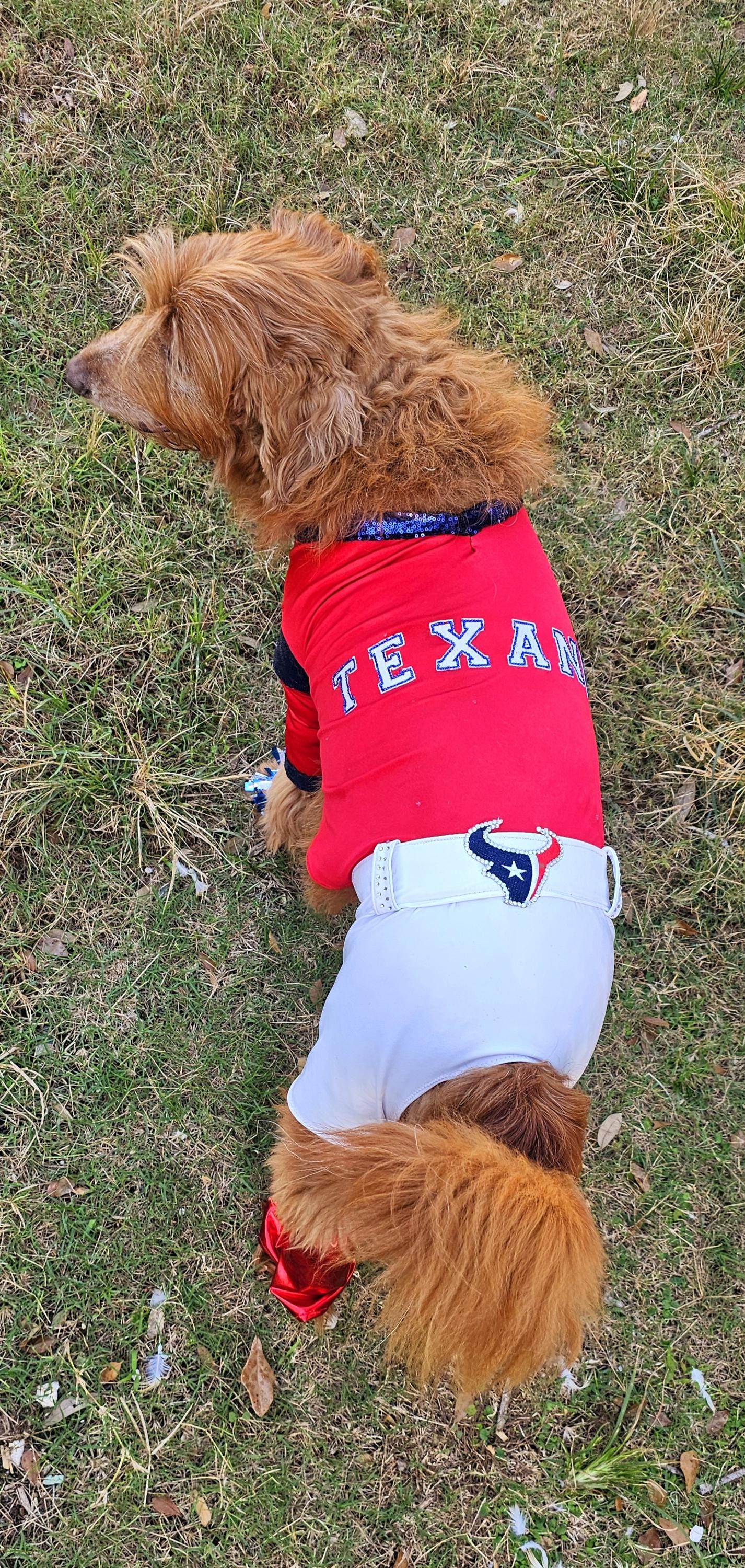 Houston Texans pet cheerleader costume, Texans dog cheerleader, Texans cat cheerleader