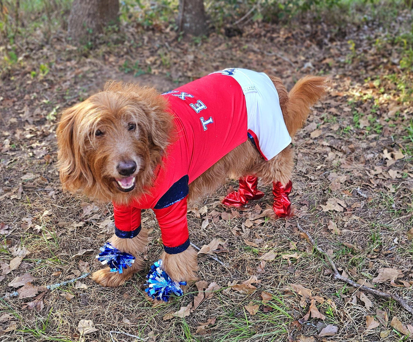 Houston Texans pet cheerleader costume, Texans dog cheerleader, Texans cat cheerleader