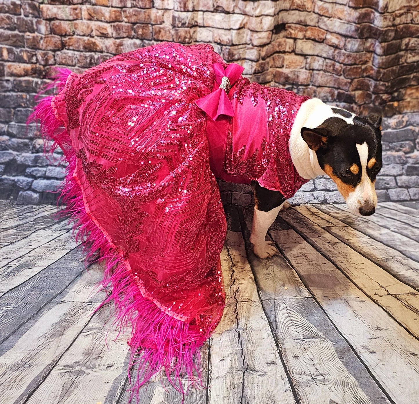 Couture pet dress, fushia pet dress, pink pet dress, Valentines pet dress, fushia dog dress, sequin pet dress, special occasion dog dress