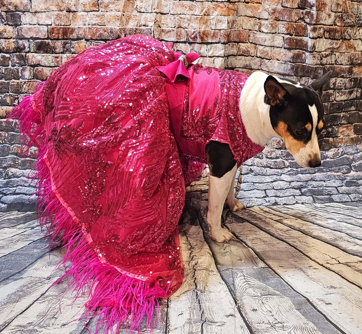 Couture pet dress, fushia pet dress, pink pet dress, Valentines pet dress, fushia dog dress, sequin pet dress, special occasion dog dress