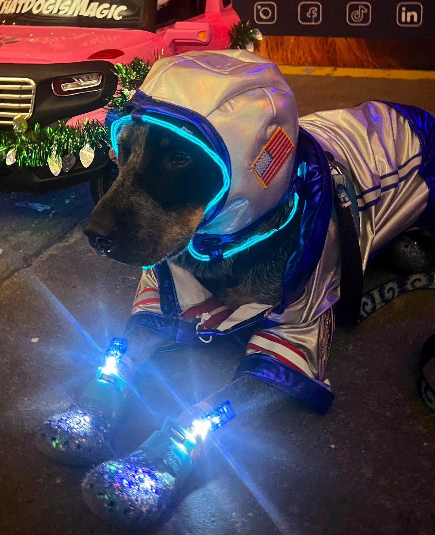 Astronaut Pet Costume, astronaut lightup dog costume, astronaut cat costume, pet astronaut costume, space pet costume, light up astronaut dog