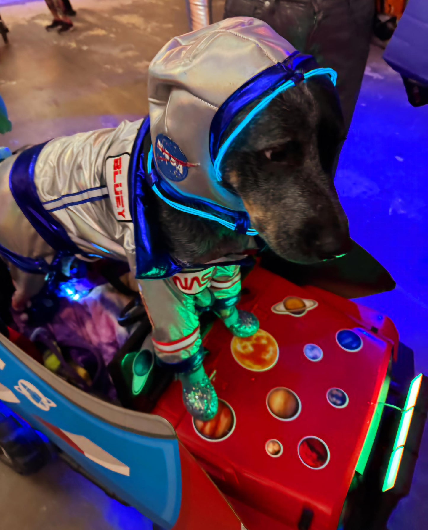 Astronaut Pet Costume, astronaut lightup dog costume, astronaut cat costume, pet astronaut costume, space pet costume, light up astronaut dog