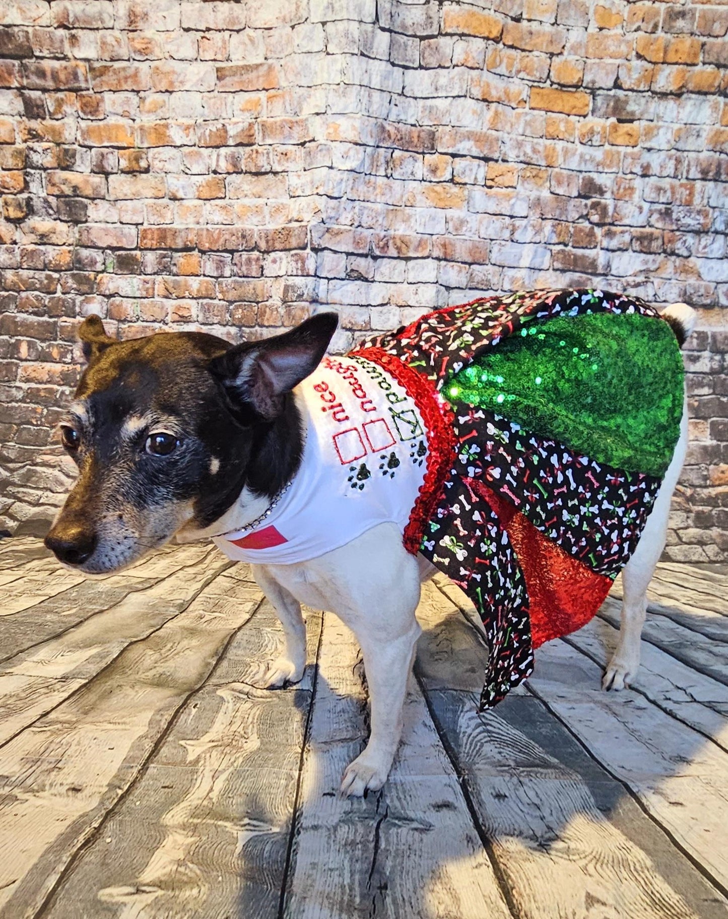 Embroidered Christmas sequin pet dress, naughty or nice pet dress, holiday pet dress, Christmas dog dress, embroidered dog dress, sequin pet dress