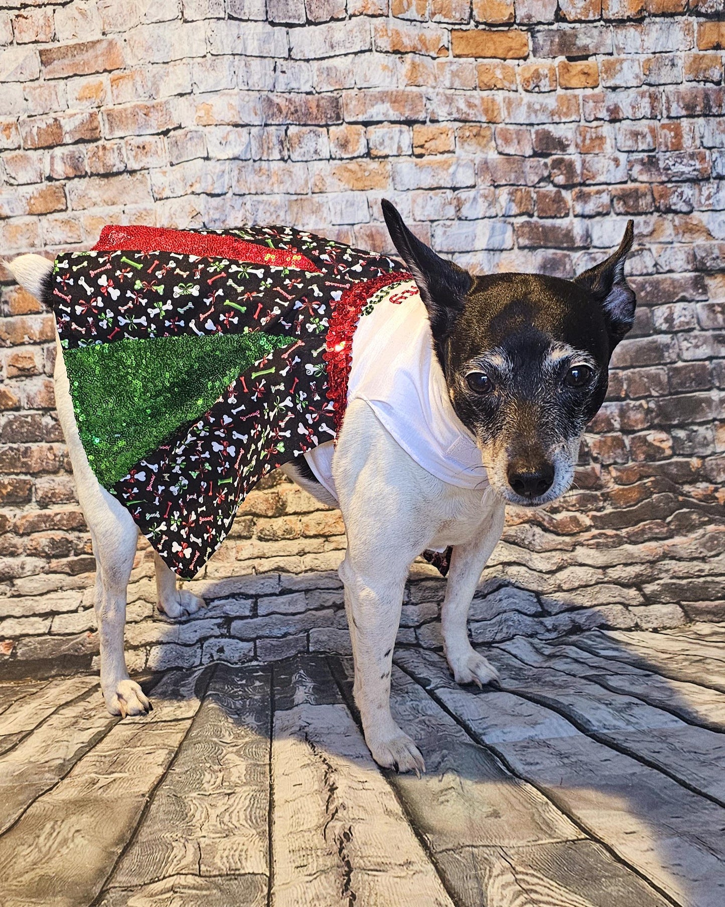 Embroidered Christmas sequin pet dress, naughty or nice pet dress, holiday pet dress, Christmas dog dress, embroidered dog dress, sequin pet dress