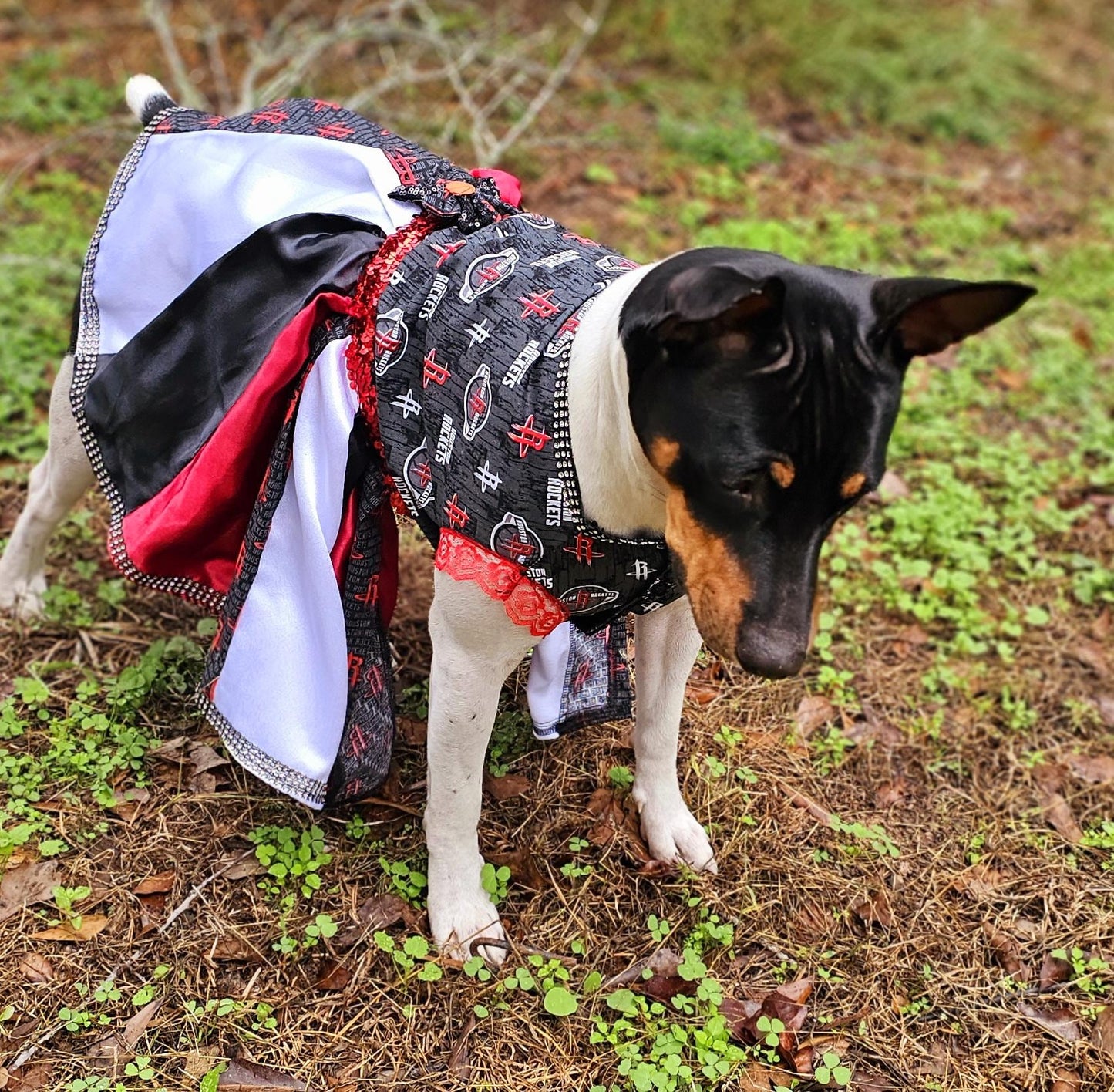 Houston Rockets pet dress, Houston rockets dog dress, Houston rockets cat dress, Rockets basketball pet dress, rockets pet clothes