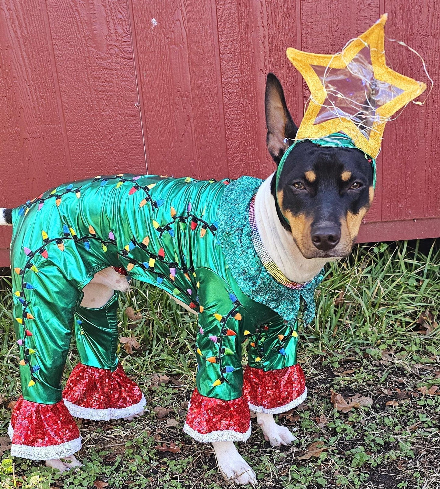 - Light up tree pet costume, Christmas tree pet costume, tree pet costume, light up tree pet costume, Christmas tree dog costume, light up Christmas tree cat costume