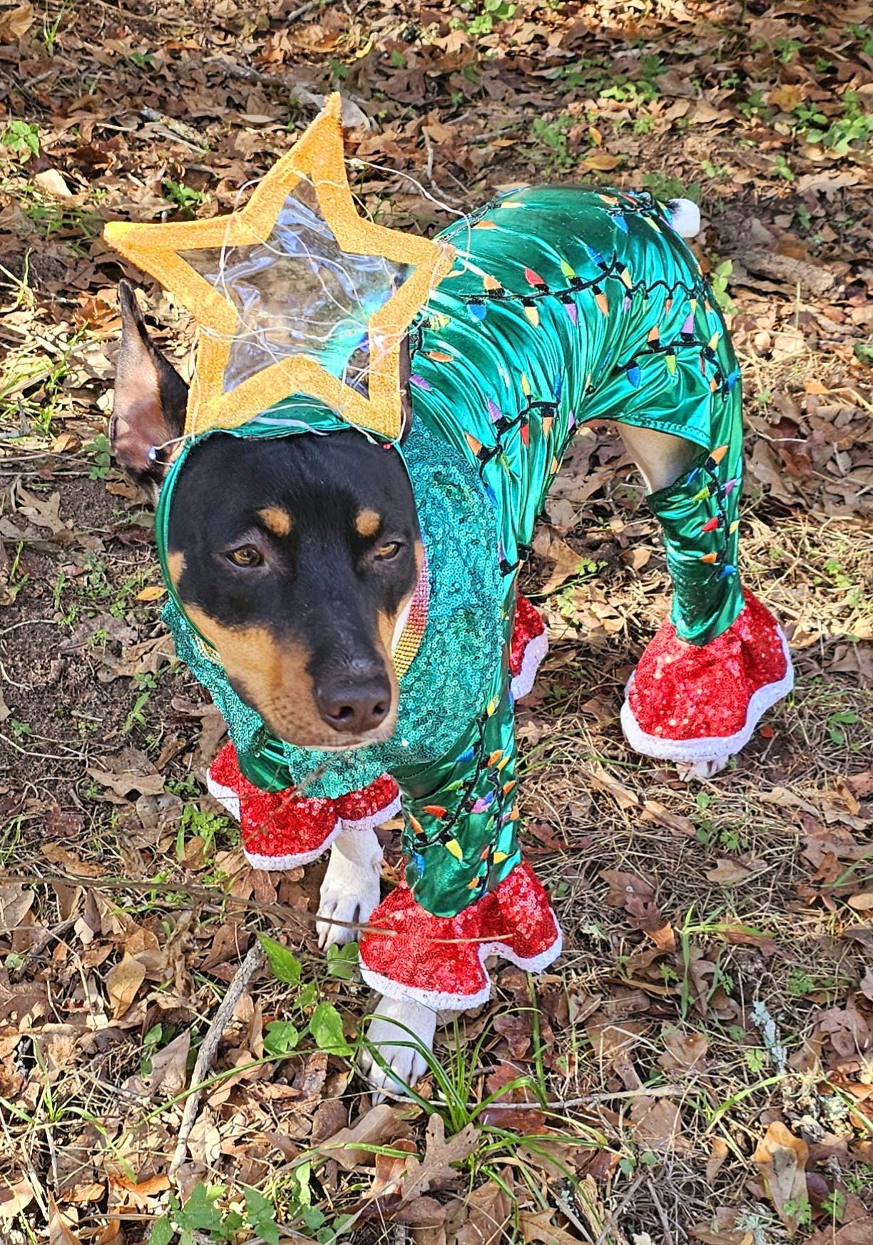- Light up tree pet costume, Christmas tree pet costume, tree pet costume, light up tree pet costume, Christmas tree dog costume, light up Christmas tree cat costume