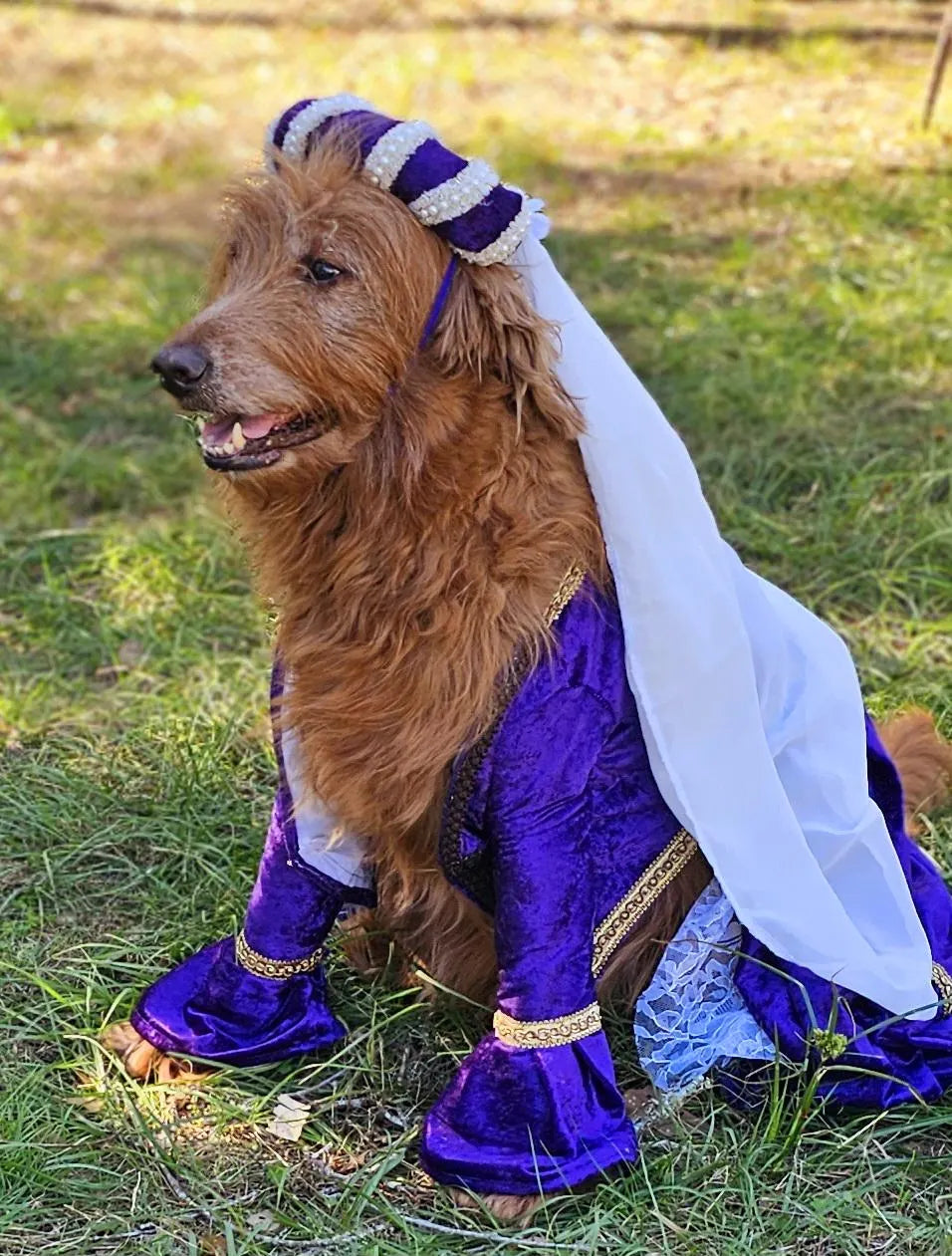 - Renaissance pet dress, Renaissance dog dress, Renaissance cat dress, Medievil pet costume, Medievil pet dress, Medievil pet headdress