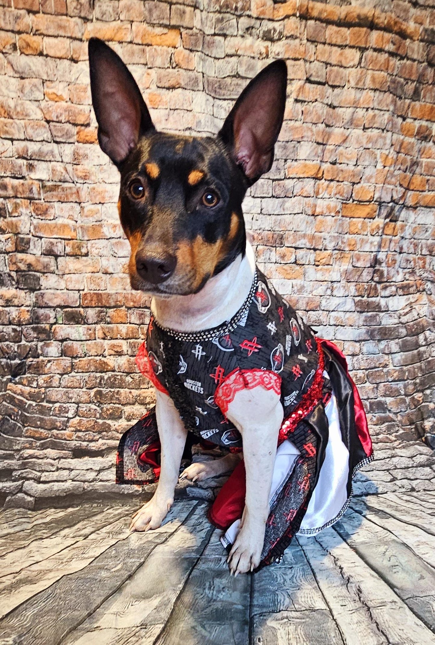 Houston Rockets pet dress, Houston rockets dog dress, Houston rockets cat dress, Rockets basketball pet dress, rockets pet clothes