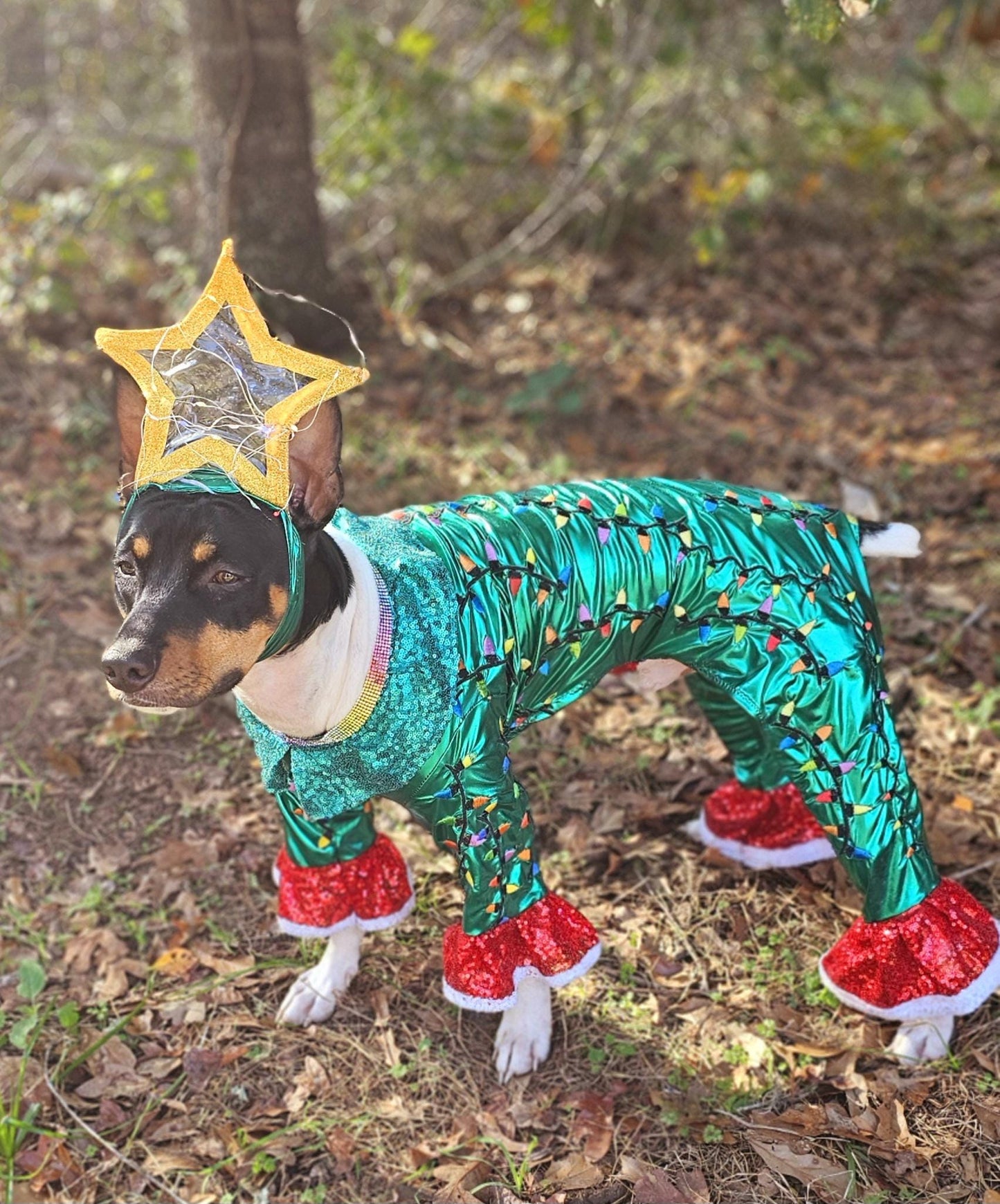 - Light up tree pet costume, Christmas tree pet costume, tree pet costume, light up tree pet costume, Christmas tree dog costume, light up Christmas tree cat costume