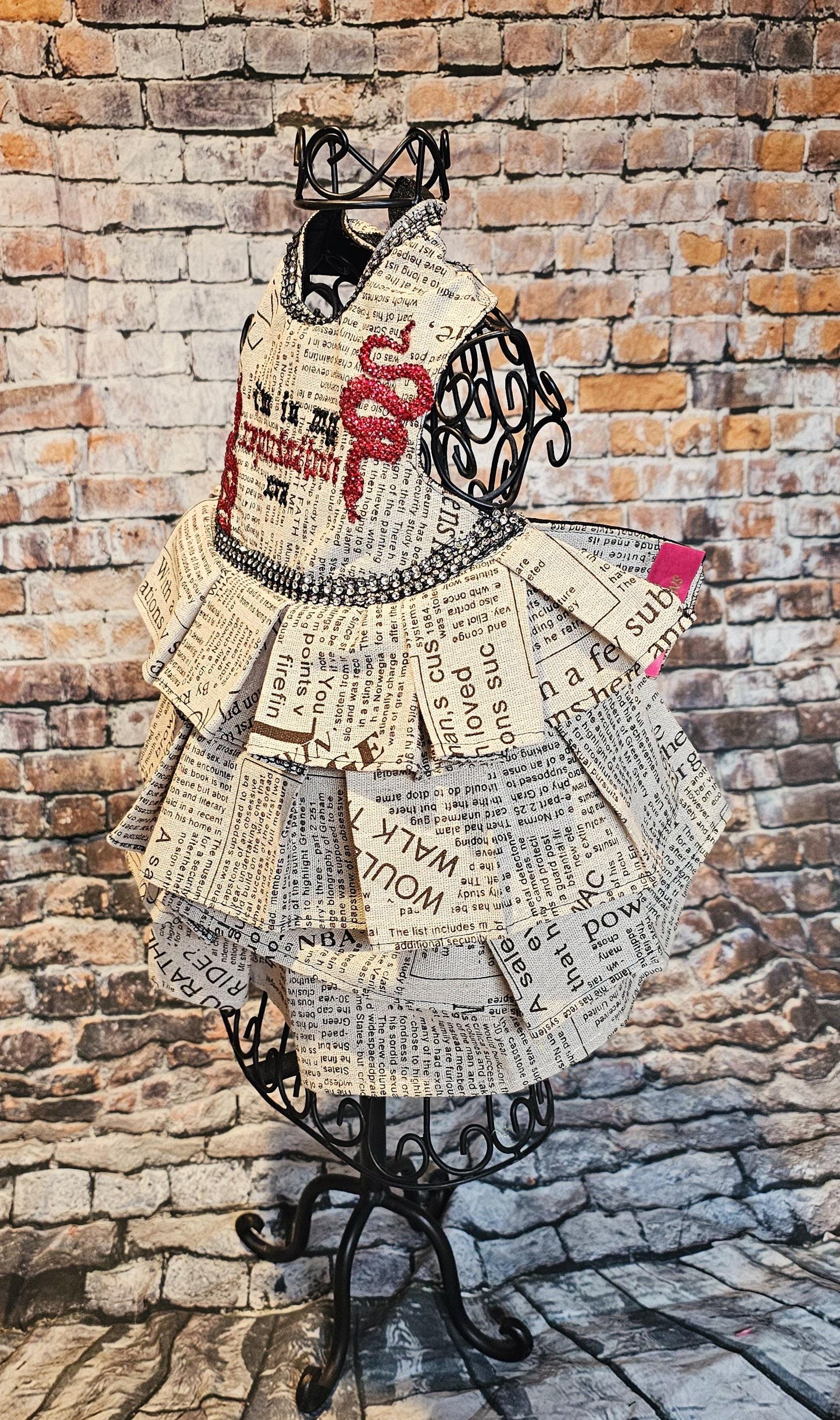 Reputation Pet Dress, Reputation dog dress, Reputation cat dress, Reputation era pet costume, Taylor Swift Rep pet, pet Reputation dress