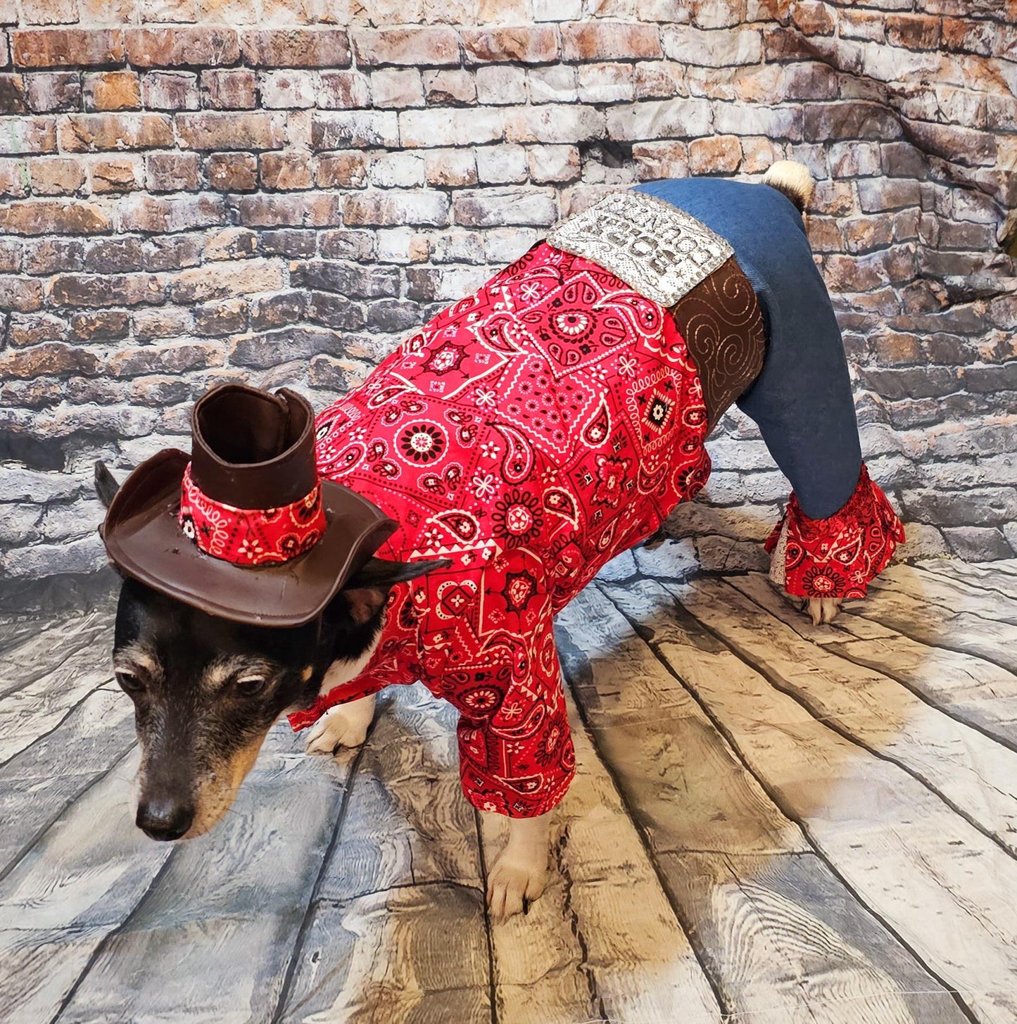 - Western cowboy pet costume,Western cowboy dog costume, westen cat costume