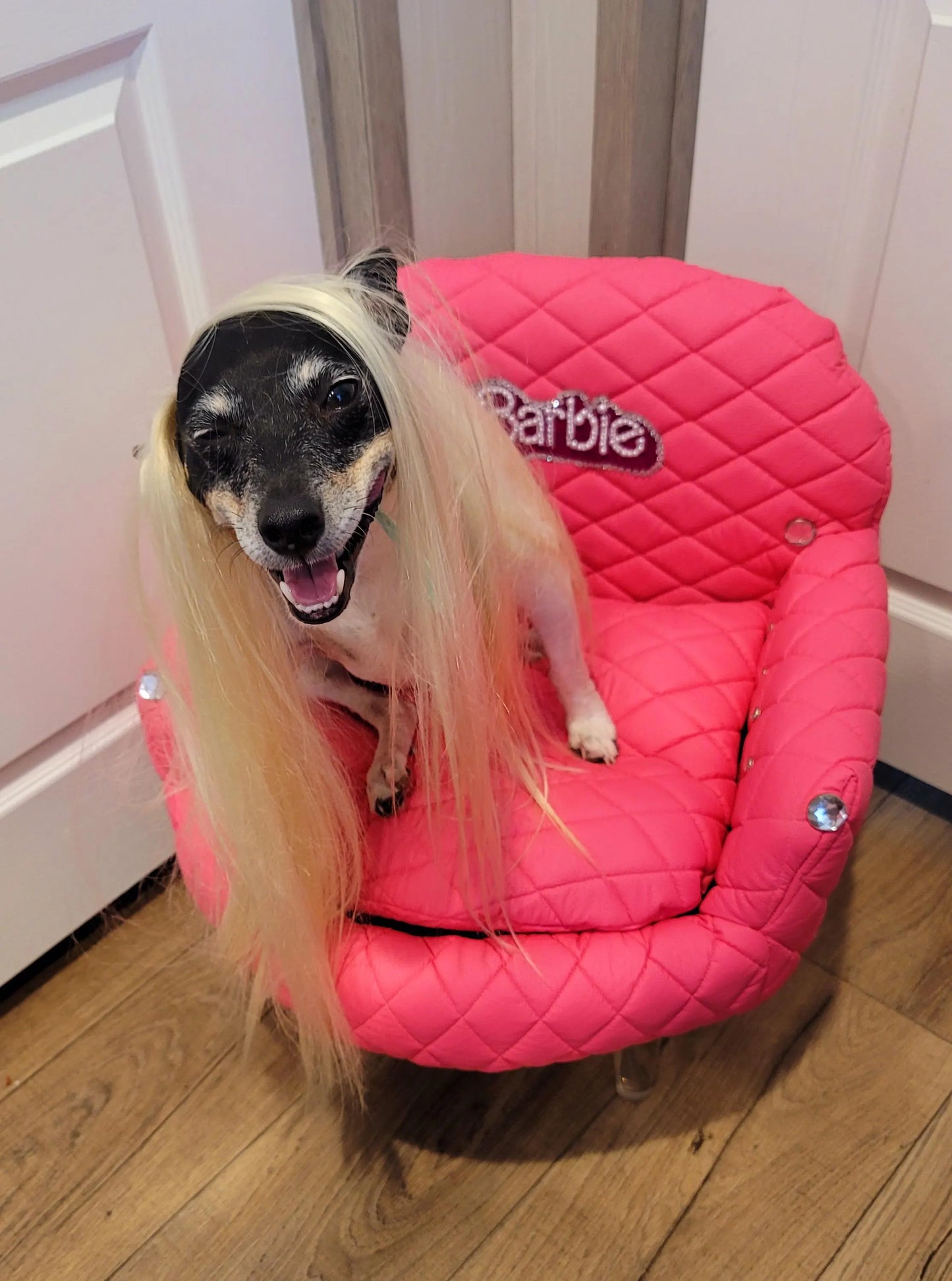 Pink Barbie pet bed, pink dog bed, Hot pink pet bed, luxury pet bed, arclic leg pet bed, leather pet bed, luxury dog bed, personalize dog