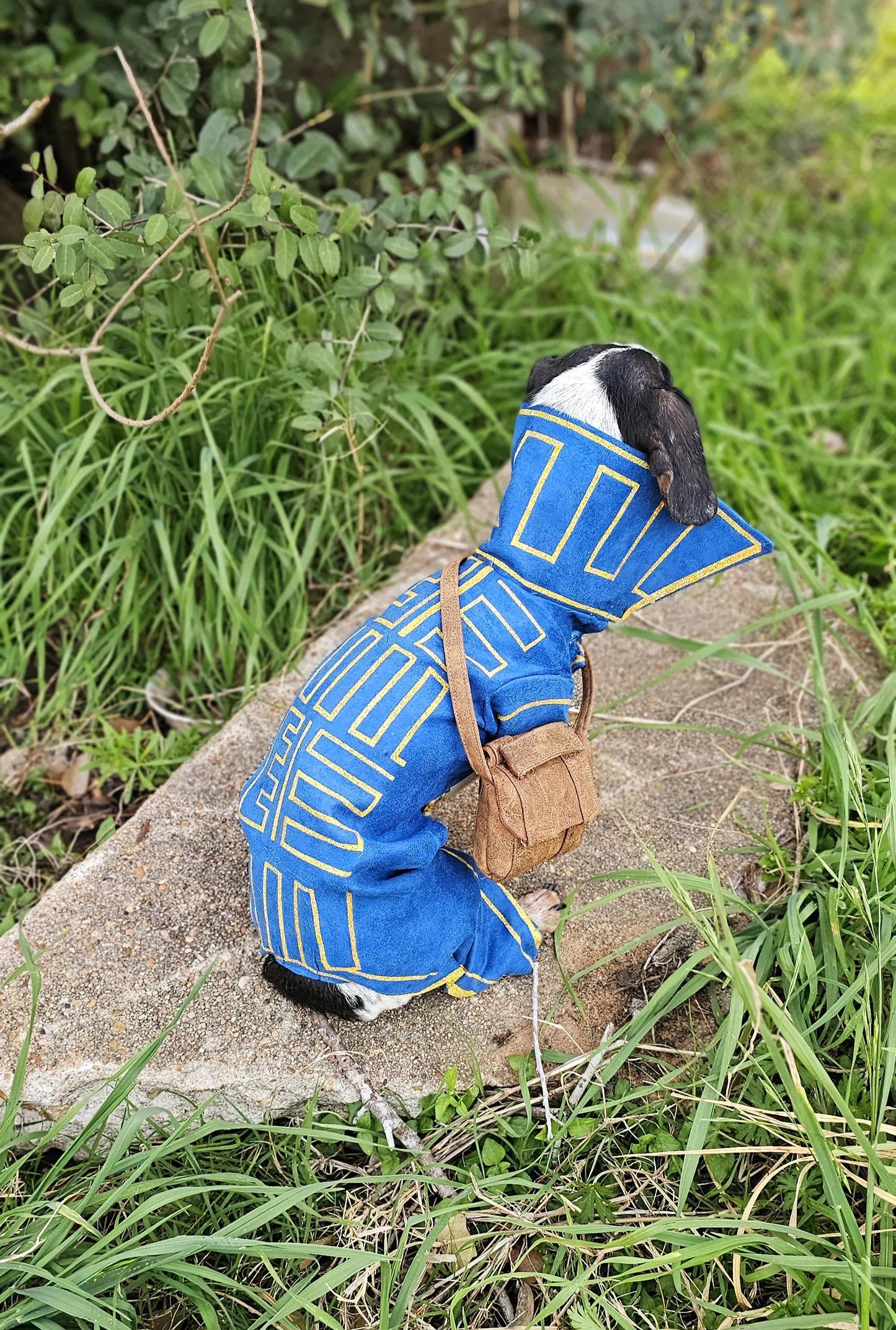 Prince Fiyero pet costume, Fiyero dog costume, Wicked pet costume