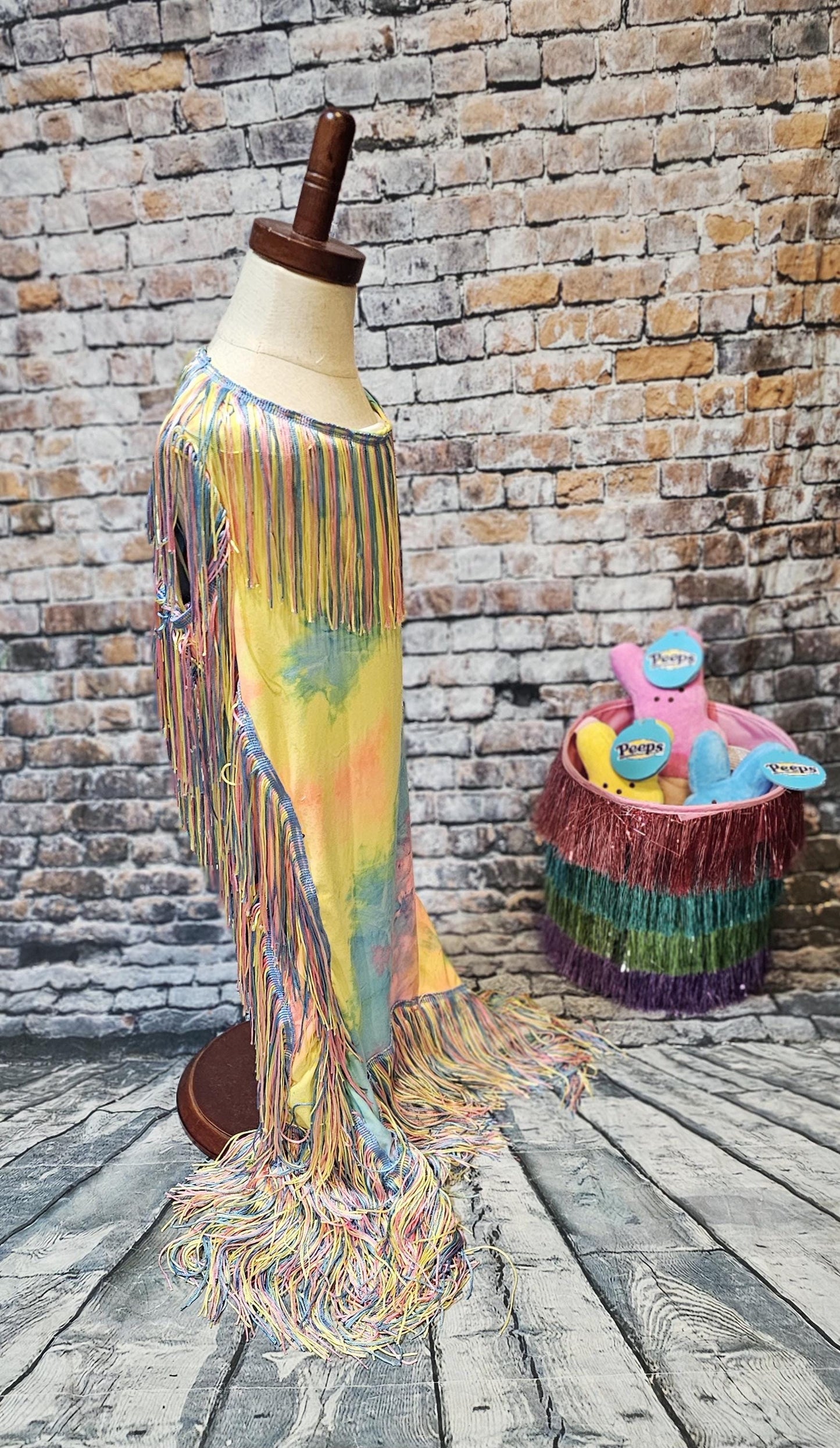 Tie-Dye tassel pet dress, Easter egg pet dress, 70s fringe pet costume, Tie-dye fringe pet costume, fringe dog costume, Tie dye cat dress