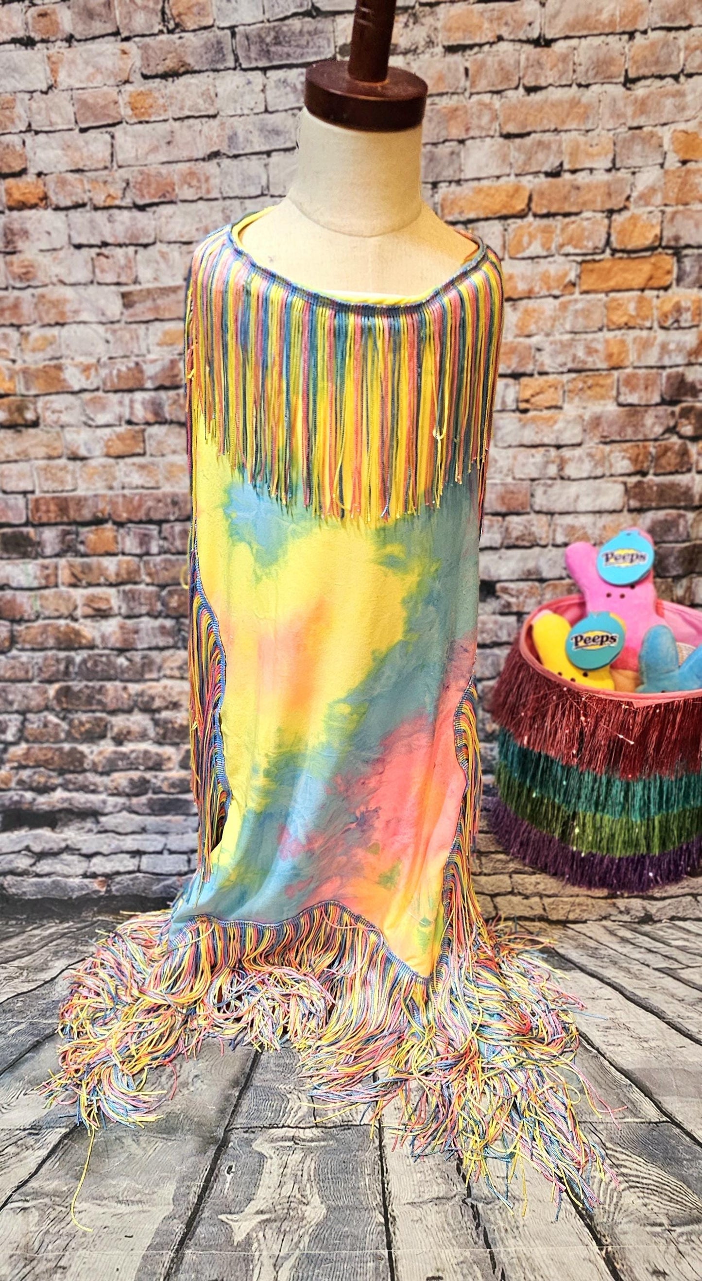 Tie-Dye tassel pet dress, Easter egg pet dress, 70s fringe pet costume, Tie-dye fringe pet costume, fringe dog costume, Tie dye cat dress