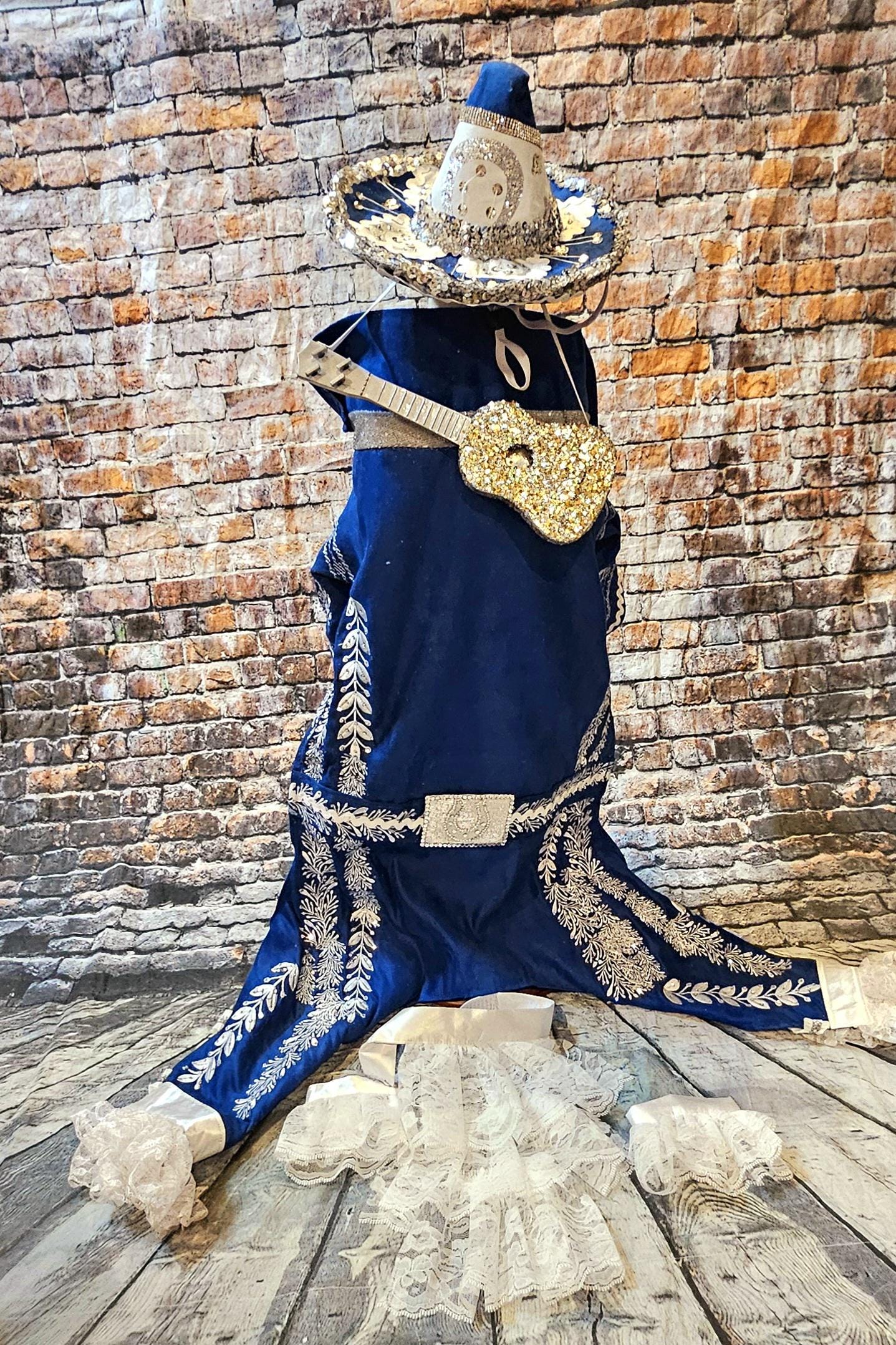 - Mariachi Pet costume, Charro pet clothes, Cinco De Mayo pet suit, Cinco De Mayo pet hat, Cinco de mayo dog hat, Cinco dog costume