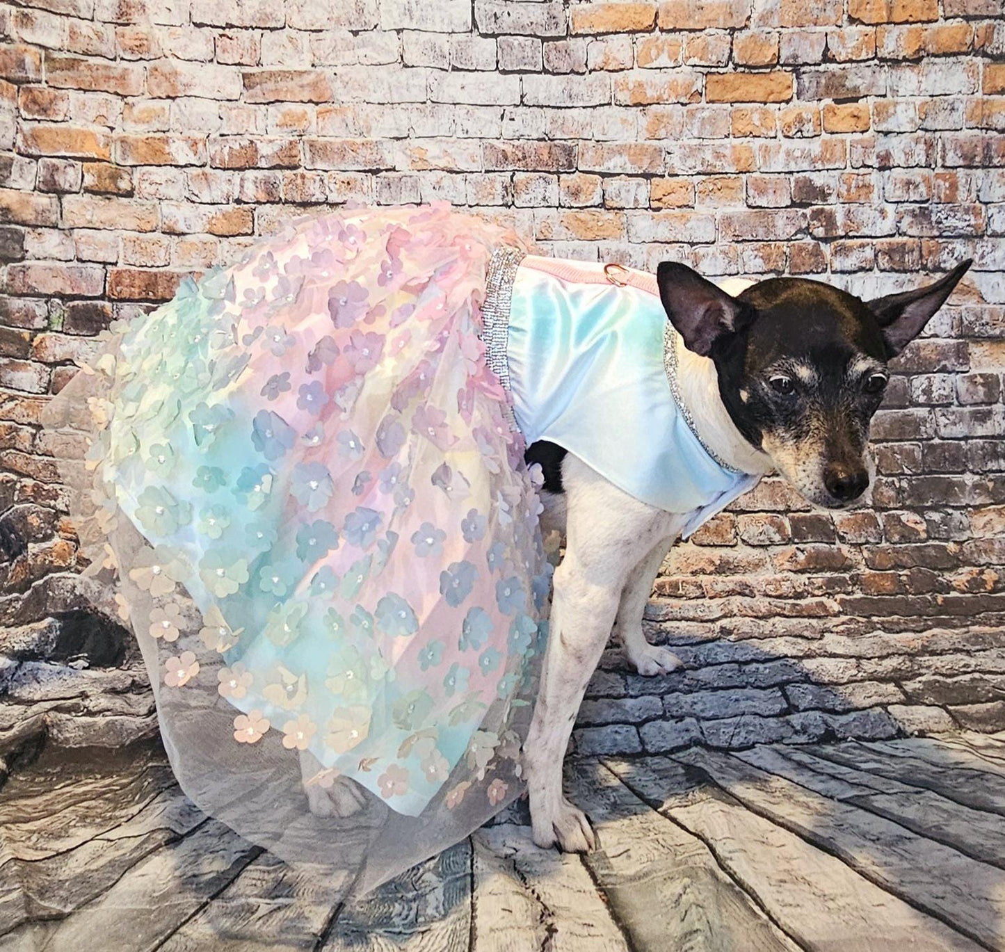 Flower pet dress, flower dog dress, flower cat dress, pastel pet dress, special occasion pet dress, couture pet dress, 3D flower pet dress