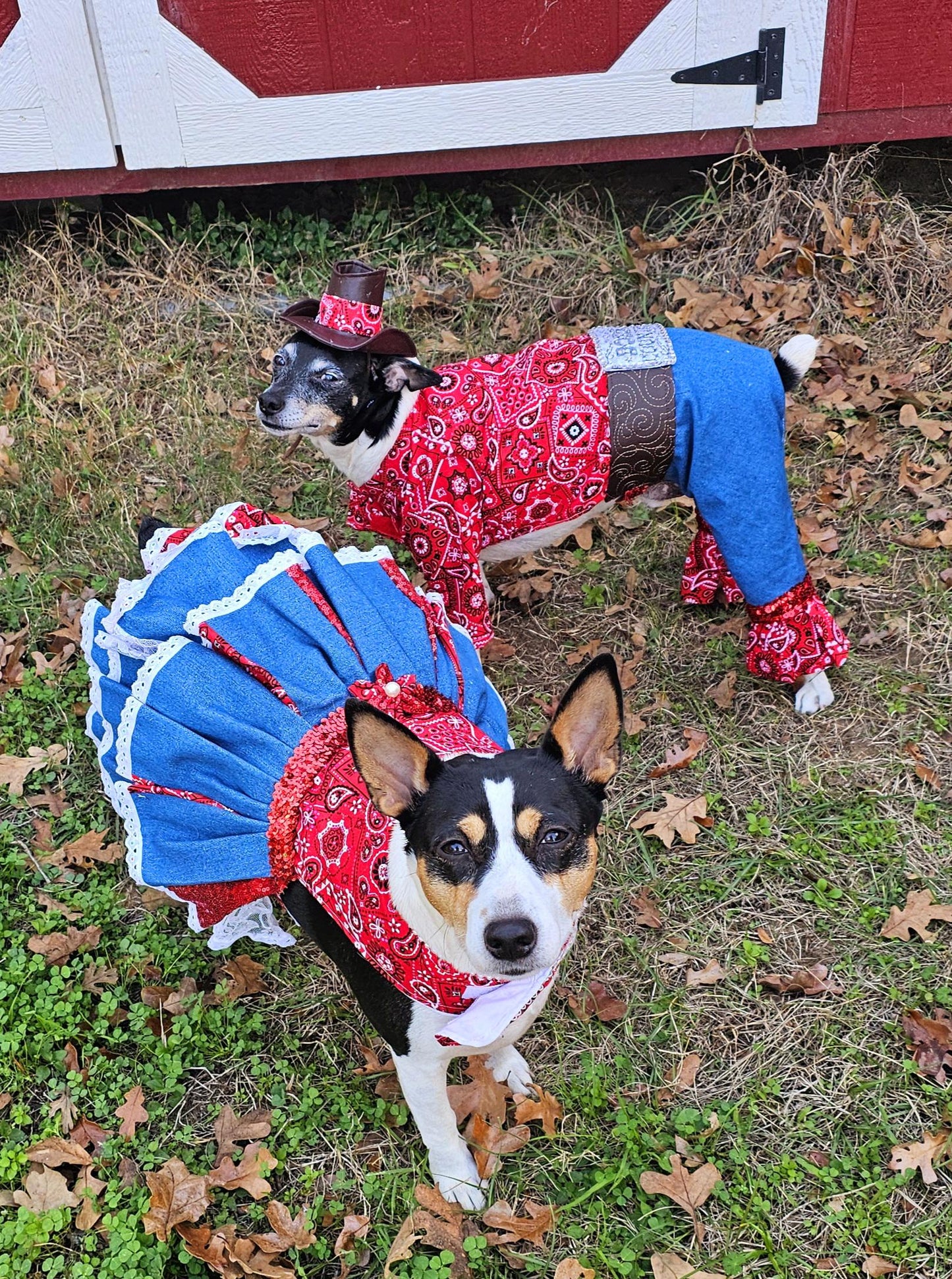 - Western cowboy pet costume,Western cowboy dog costume, westen cat costume