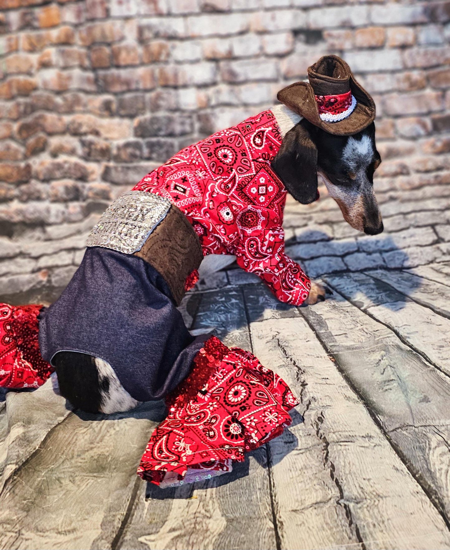 - Western cowboy pet costume,Western cowboy dog costume, westen cat costume