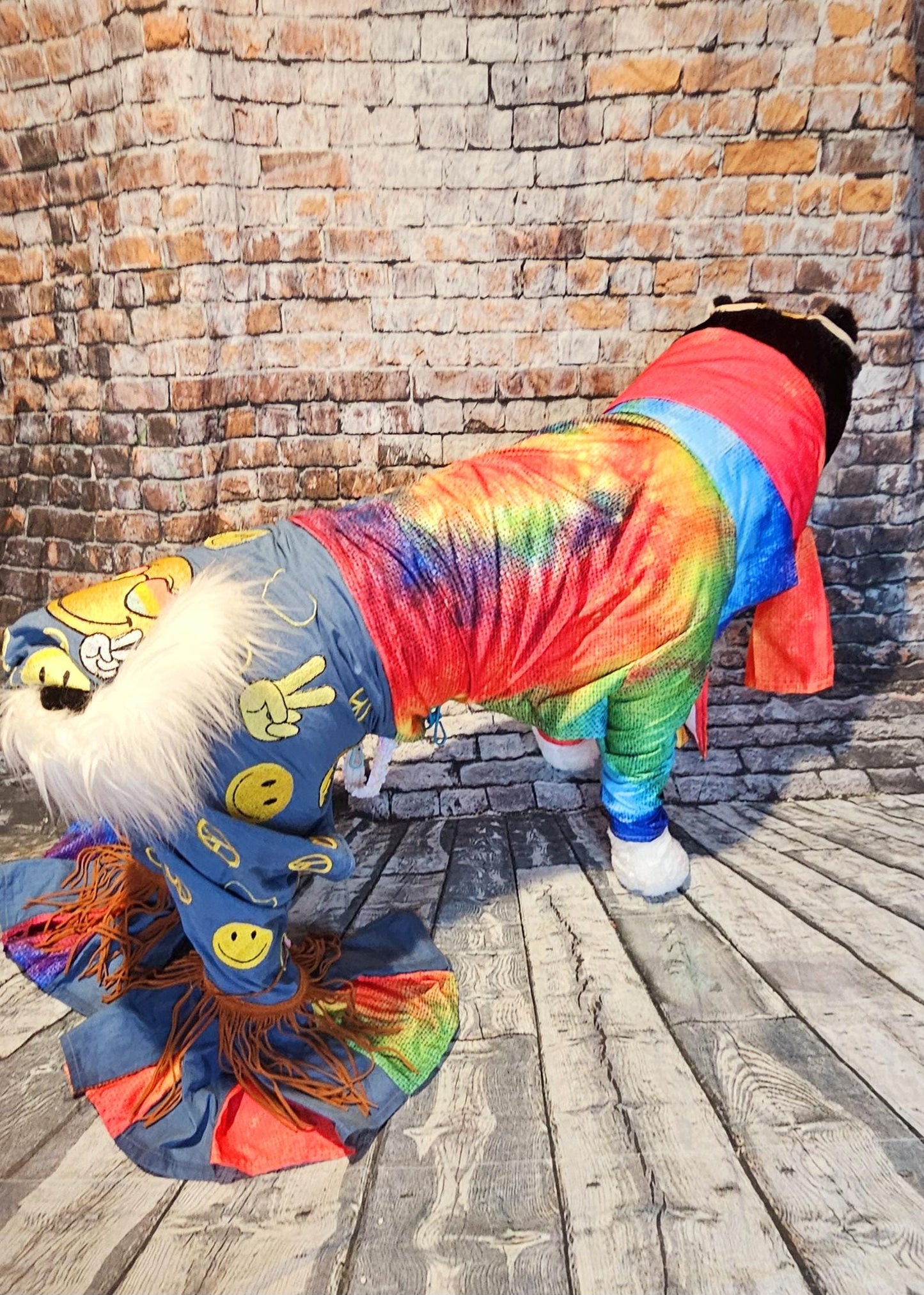 - Hippie pet costume, 70s pet costume