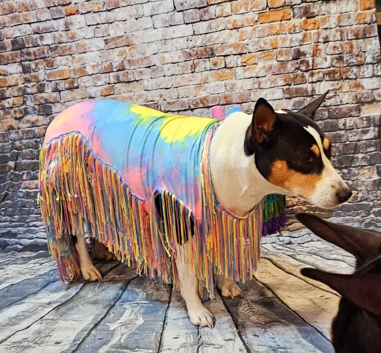 Tie-Dye tassel pet dress, Easter egg pet dress, 70s fringe pet costume, Tie-dye fringe pet costume, fringe dog costume, Tie dye cat dress
