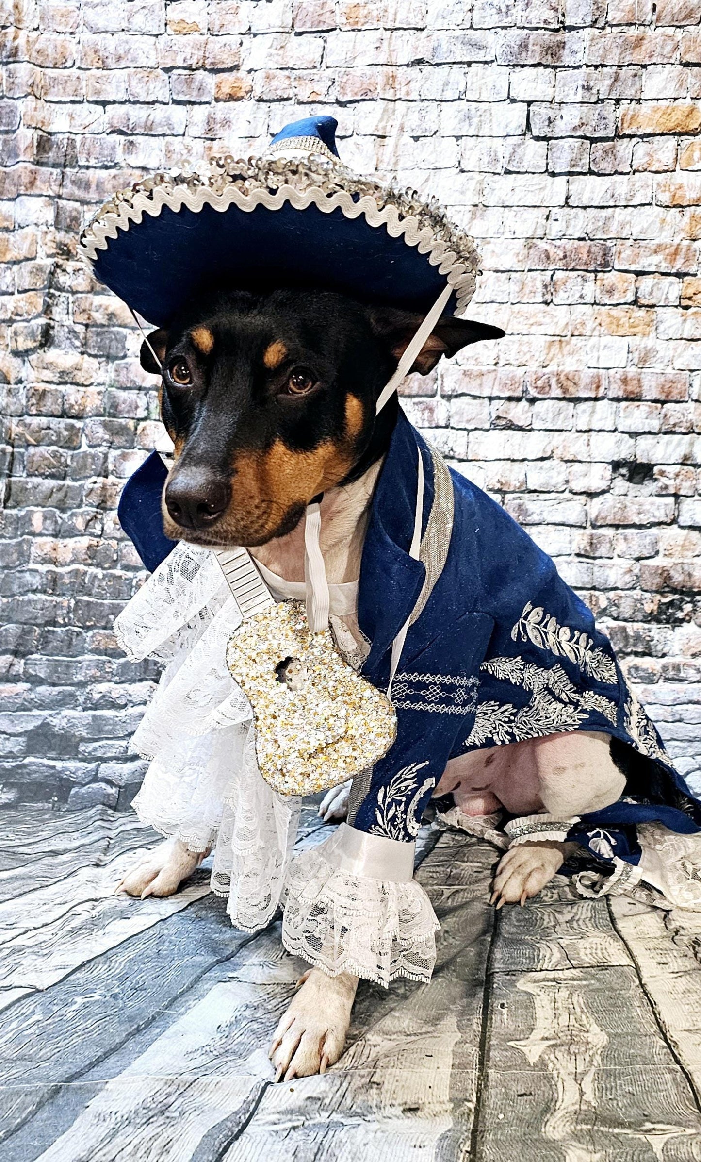 - Mariachi Pet costume, Charro pet clothes, Cinco De Mayo pet suit, Cinco De Mayo pet hat, Cinco de mayo dog hat, Cinco dog costume