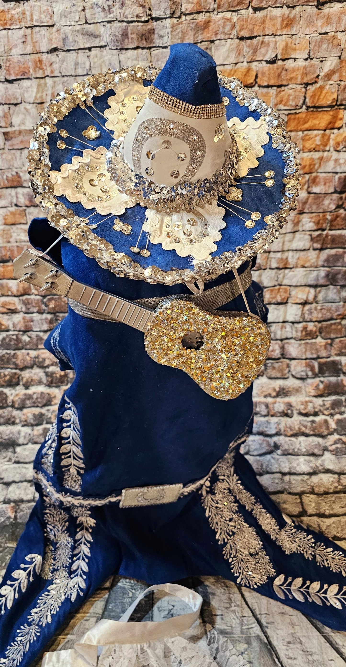 - Mariachi Pet costume, Charro pet clothes, Cinco De Mayo pet suit, Cinco De Mayo pet hat, Cinco de mayo dog hat, Cinco dog costume