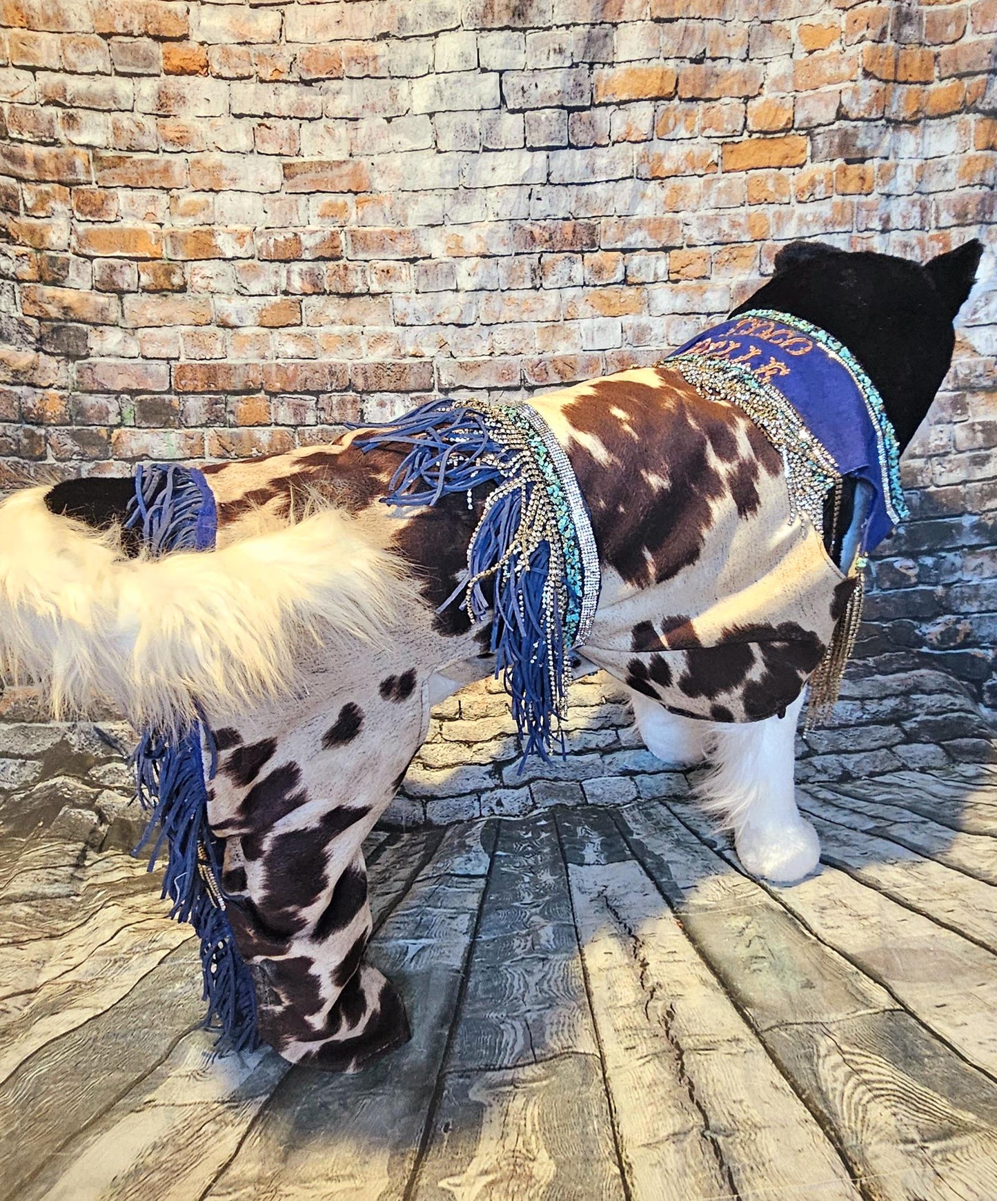 - A Western pet costume, chaps for pets, vest and chaps pet costume