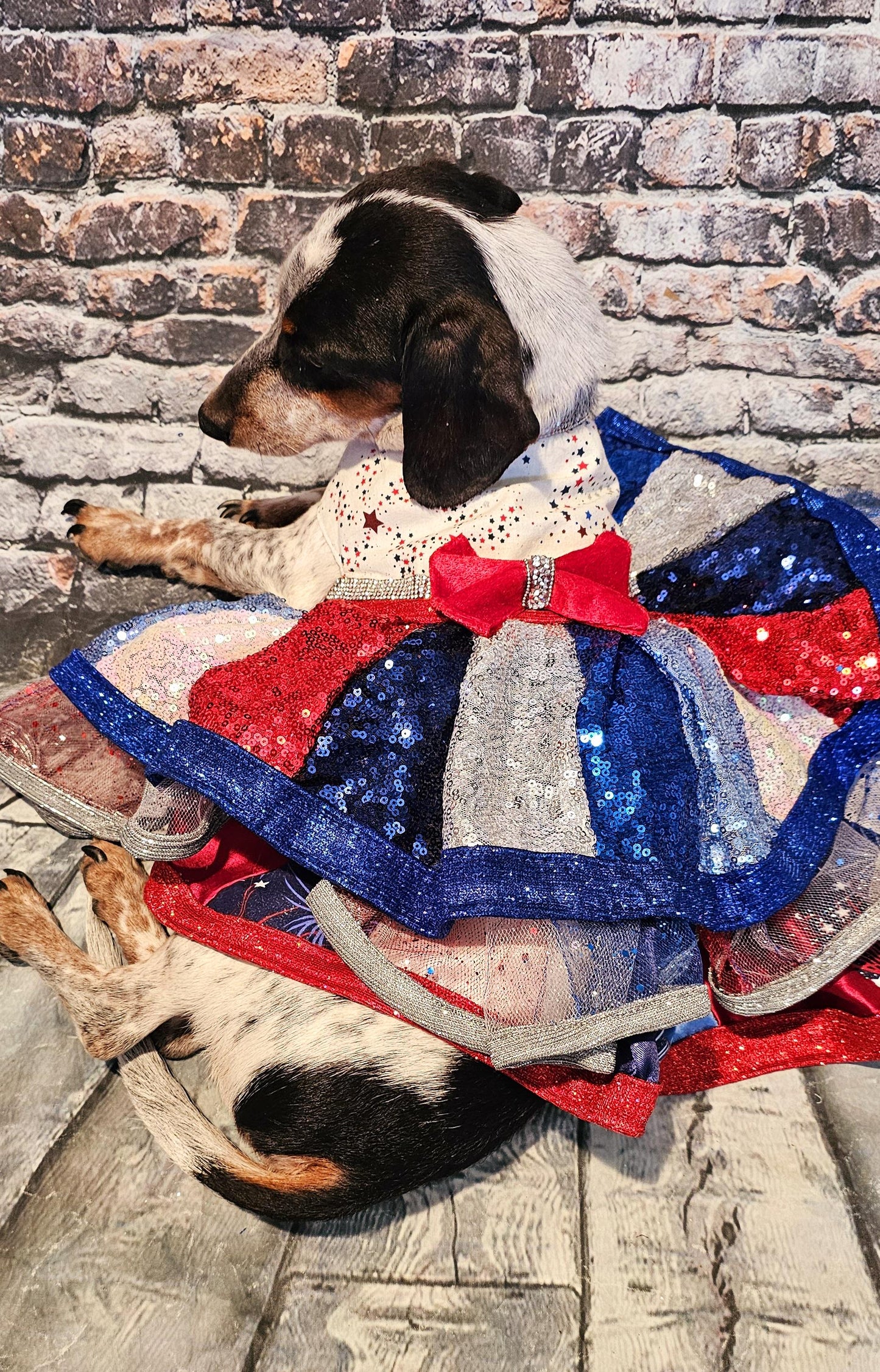 July 4th sequin pet costume, 4th of July pet dress, sequin patriotic pet dress, 4th of july dog dress, 4th of july dog costume, July 4th pet dress