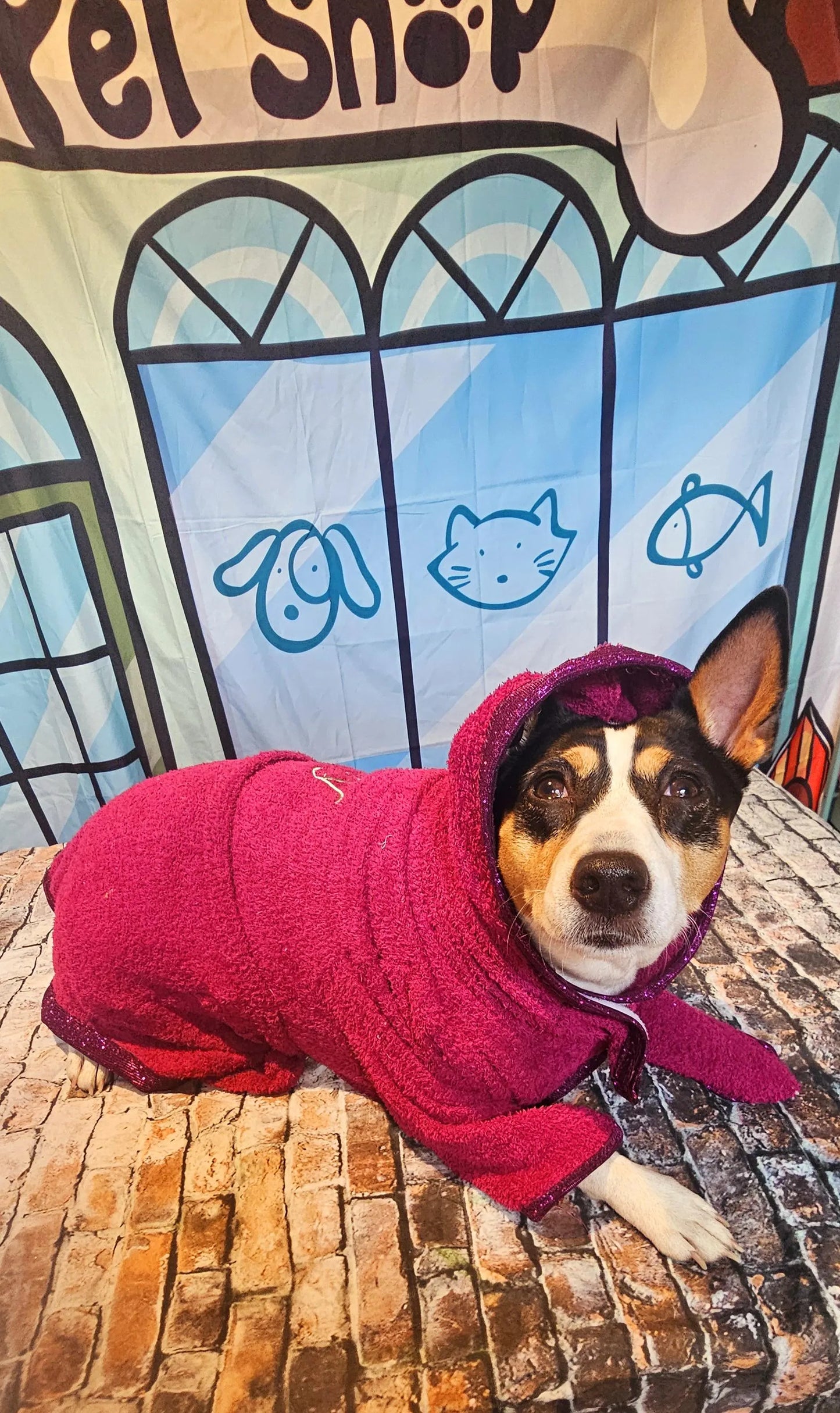 Personalized pet robe, Personalized dog robe, glitter pet robe, dog robe, Personalized cat robe, Personalized pet clothing, Terry pet robe