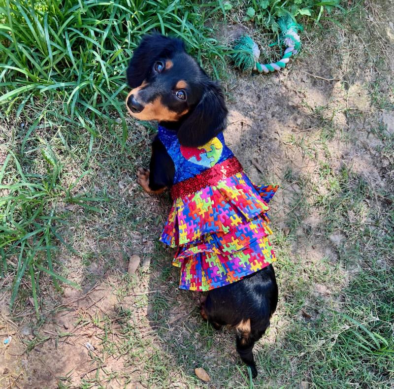 Pet Autism awareness pet dress, autism awareness dog dress, Embroidered pet dress, autism sequin pet dress, autism pet dress, autism dog dress