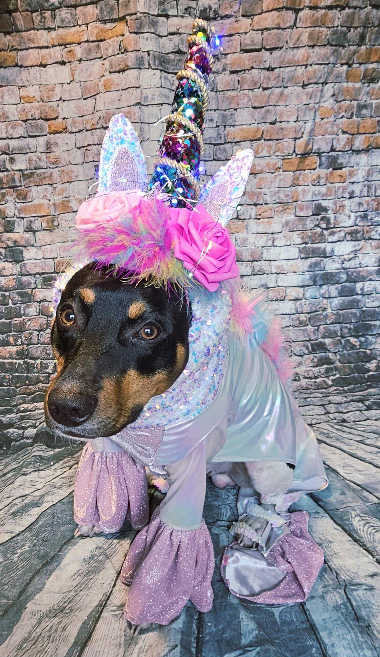 - Unicorn Pet Light Up Costume, Dog Unicorn Costume, Light up pet costume, Light up cat costume, Light up dog costume, Irradescent pet unicorn