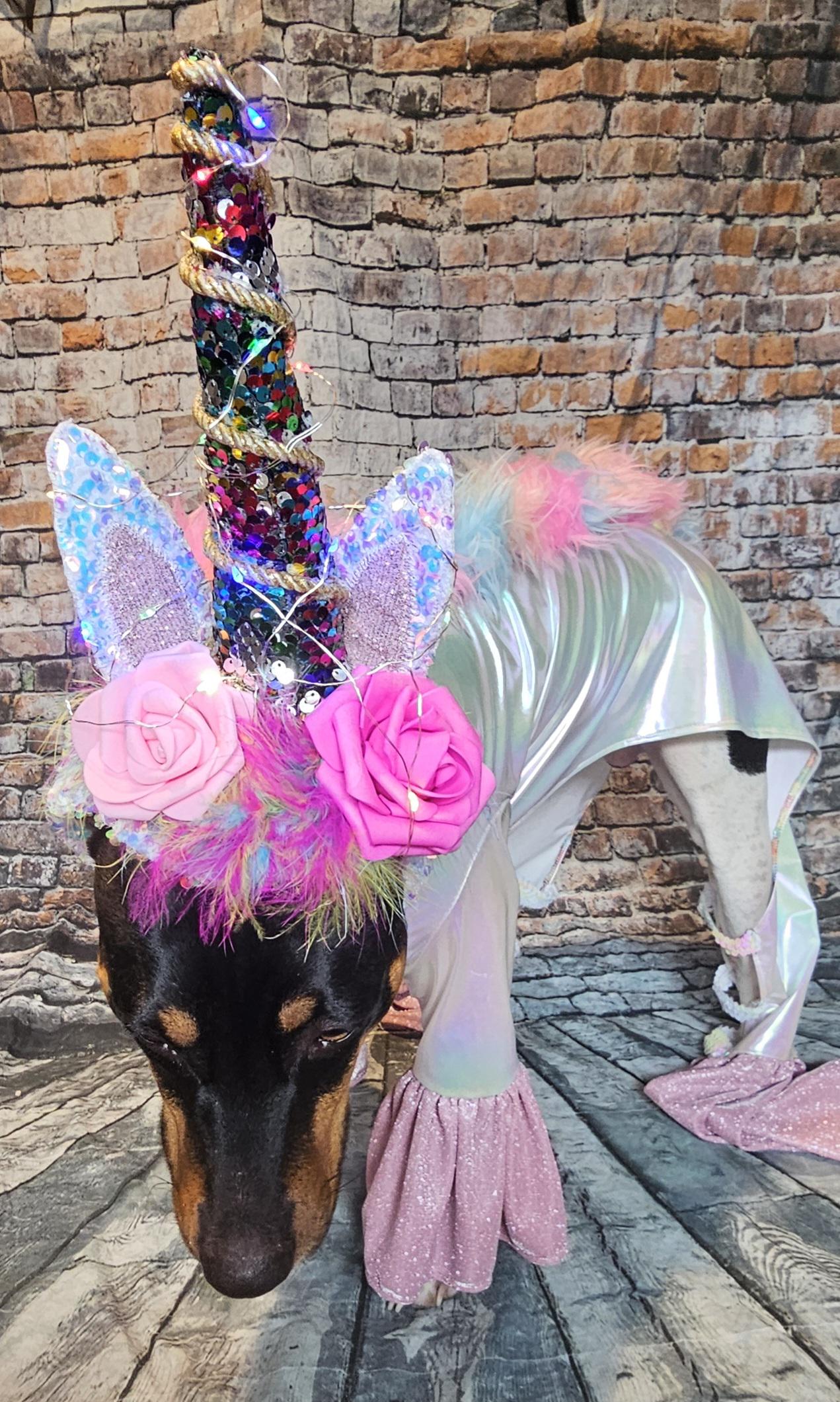 - Unicorn Pet Light Up Costume, Dog Unicorn Costume, Light up pet costume, Light up cat costume, Light up dog costume, Irradescent pet unicorn