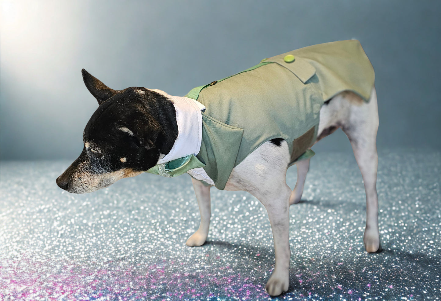 Pet wedding tuxedo costume, vest and bow-tie bandana set for pets