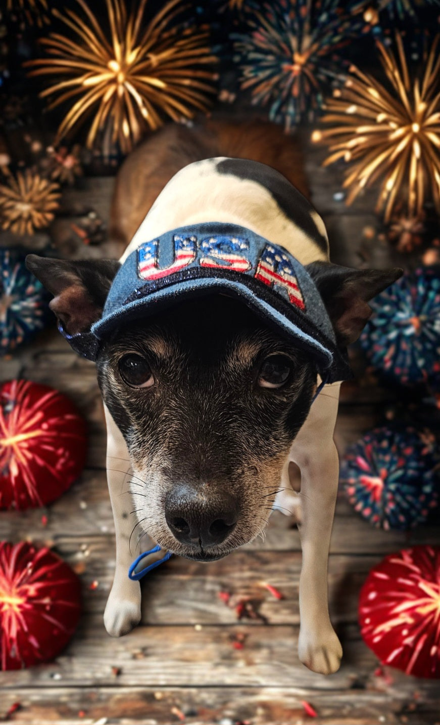 Patriotic Blue Jean pet hat, personalized pet hat, blue jean USA pet hat