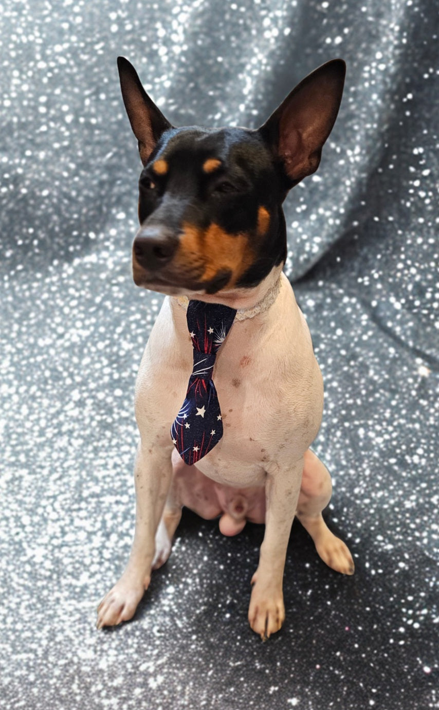 Patriotic Pet Tie and cuffs, Tie and cuffs for pets