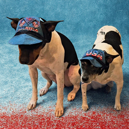 Patriotic Blue Jean pet hat, personalized pet hat, blue jean USA pet hat
