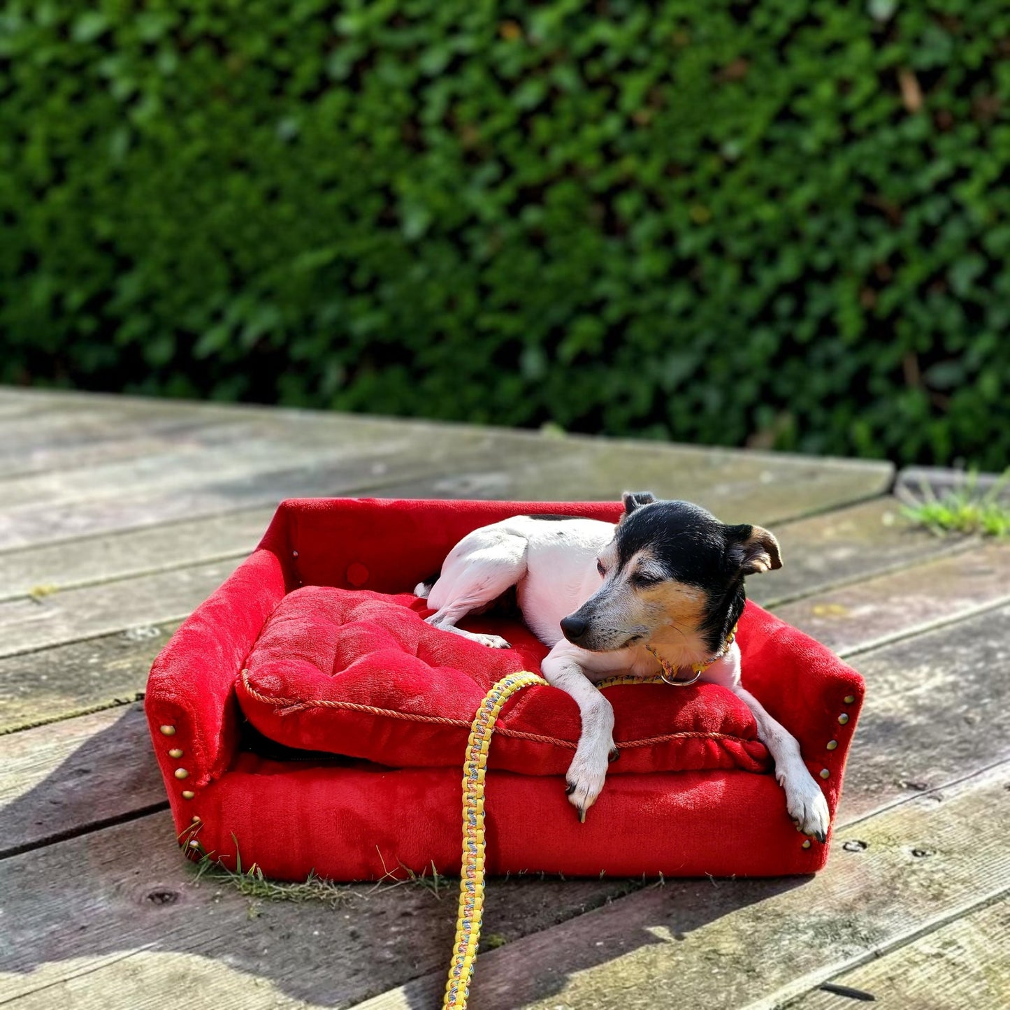 Luxury pet sofa, luxury dog couch, luxury pet furniture