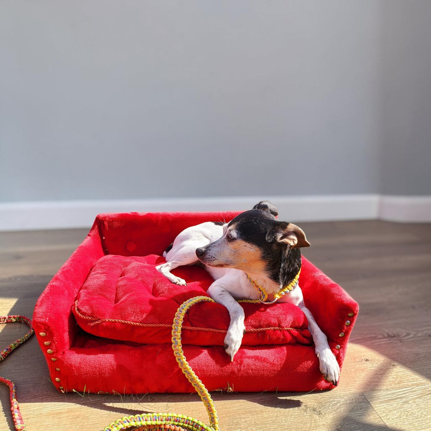 Luxury pet sofa, luxury dog couch, luxury pet furniture