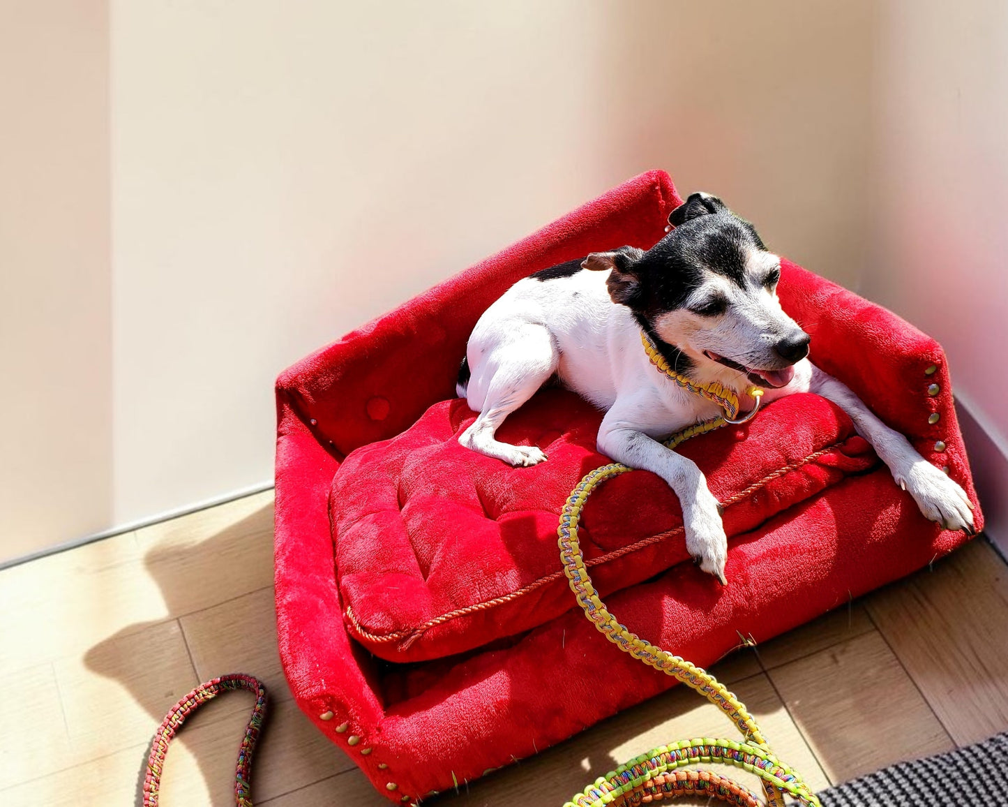 Luxury pet sofa, luxury dog couch, luxury pet furniture