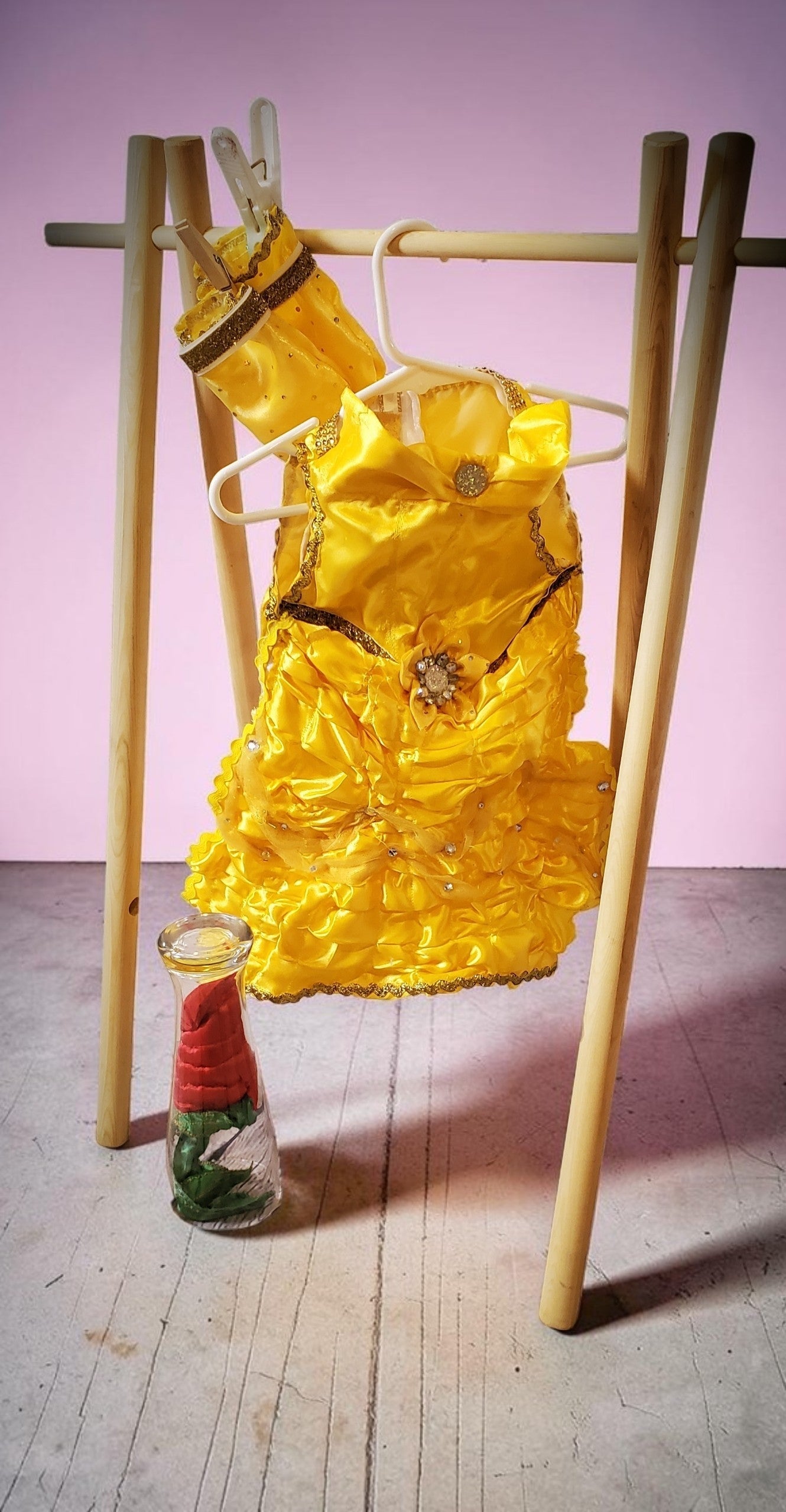 Pet Belle Costume, Beauty and the Beast Pet Costume, Belle dog costume, Belle cat costume, princess pet
