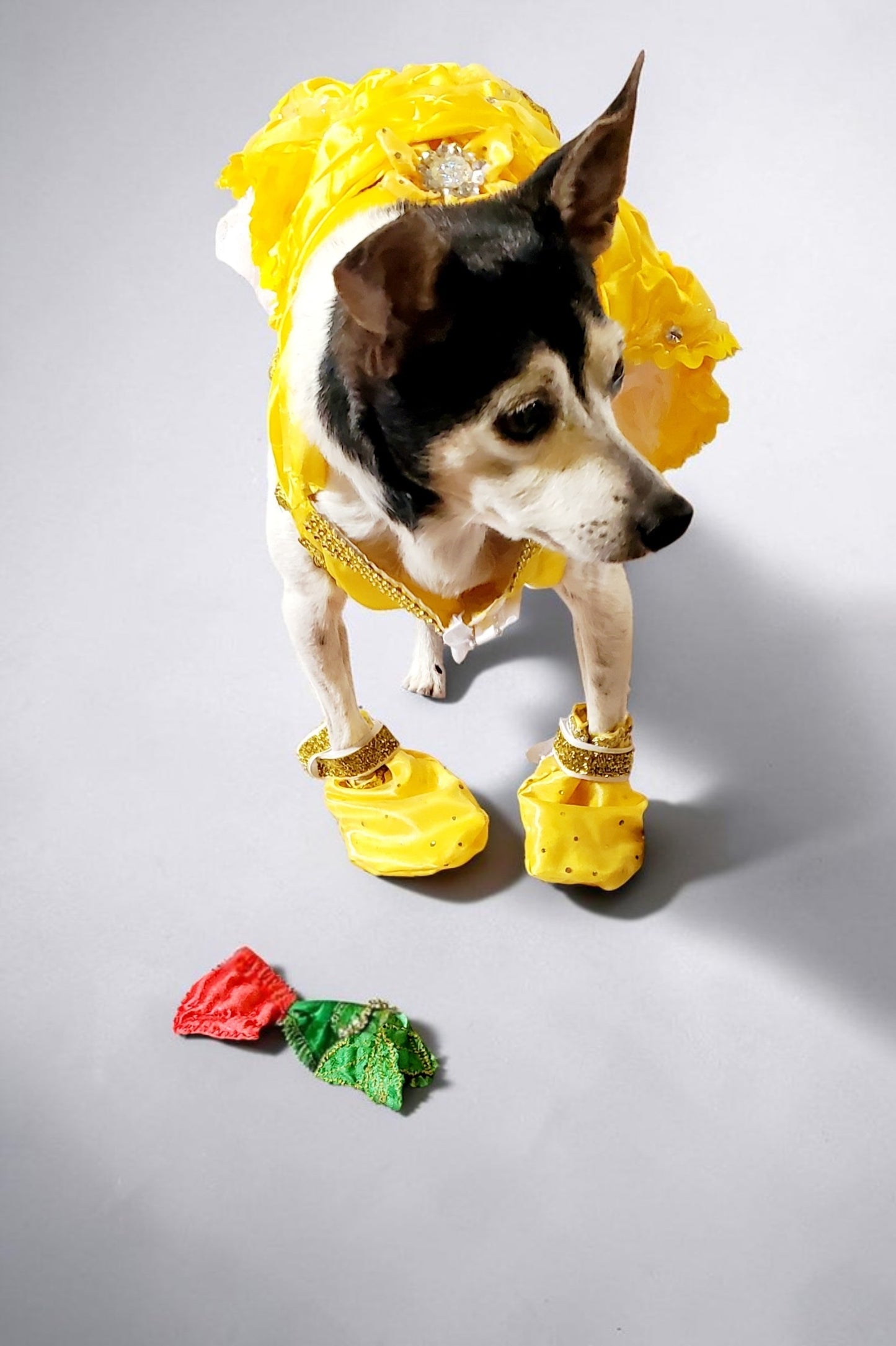Pet Belle Costume, Beauty and the Beast Pet Costume, Belle dog costume, Belle cat costume, princess pet