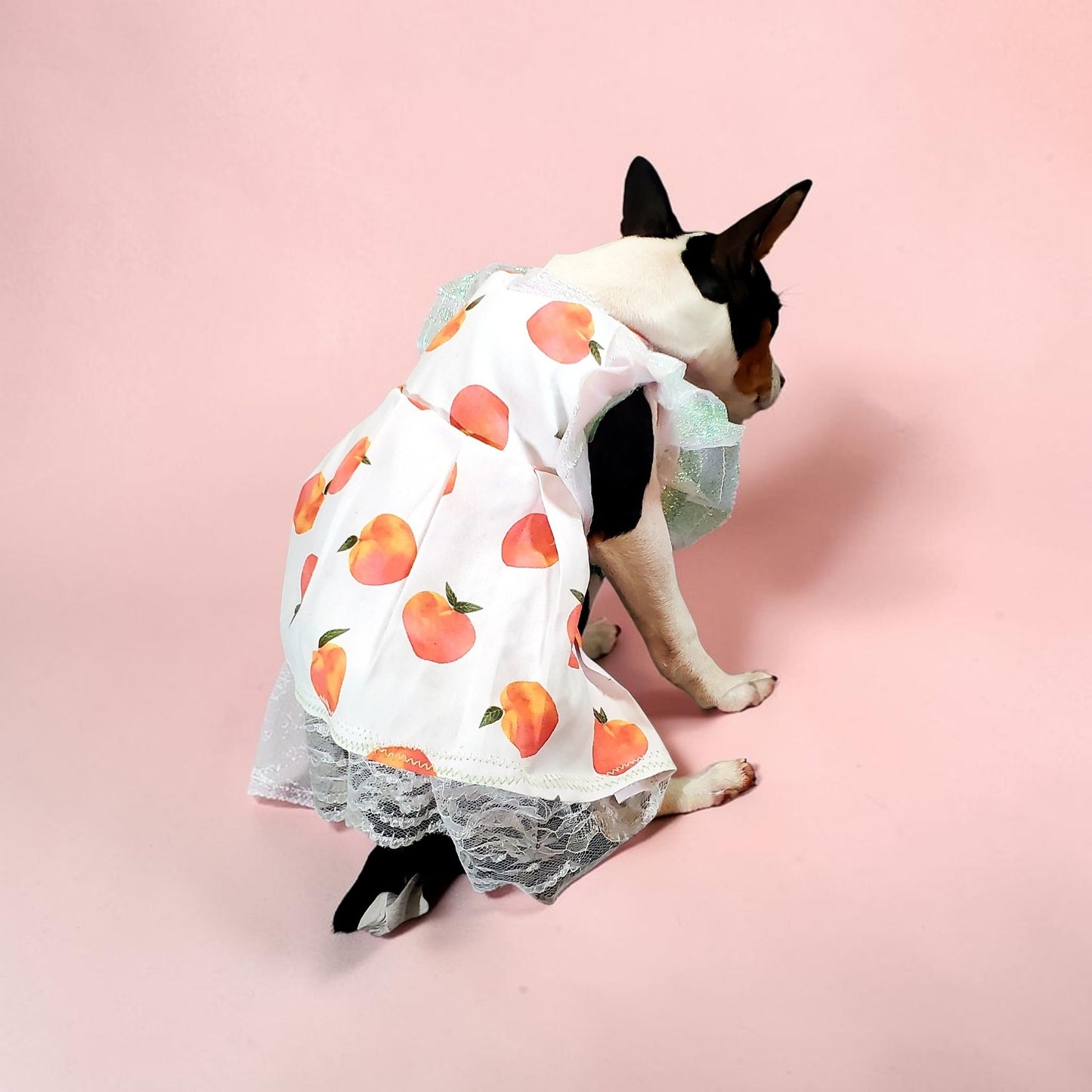 Peach gingham pet dress, peach gingham dog dress, gingham pet dress? Southern bell pet dress, southern bell dog dress, gingham cat dress