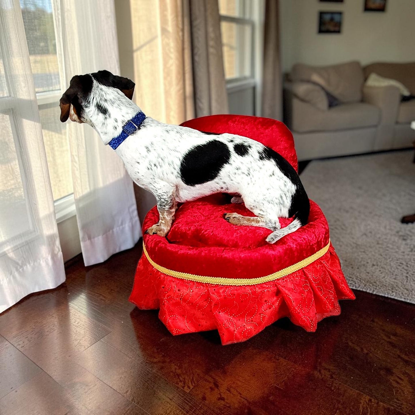 Royalty pet bed, velvet pet bed, royalty pet furniture, luxury red round pet bed