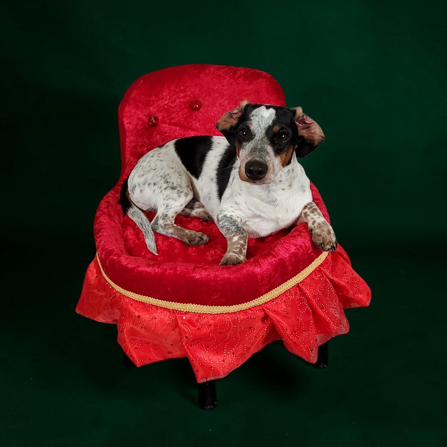 Royalty pet bed, velvet pet bed, royalty pet furniture, luxury red round pet bed