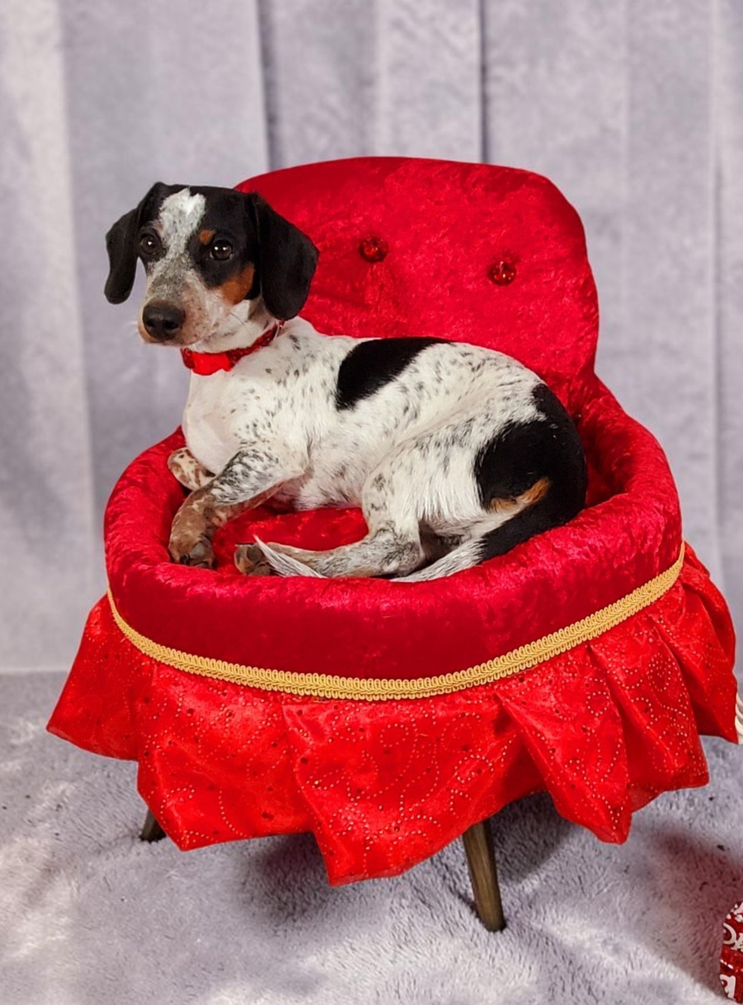 Royalty pet bed, velvet pet bed, royalty pet furniture, luxury red round pet bed